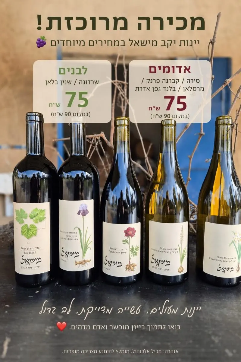 יינות יקב מישאל במבצע מיוחד ברכישת שישייה!!