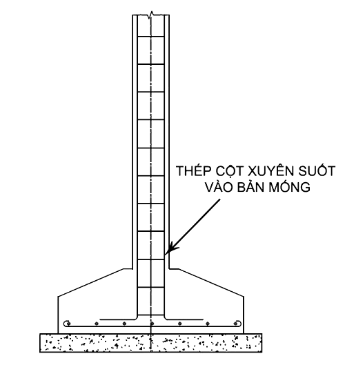 Móng cốc là gì? Cấu tạo móng cốc - Móng cốc là gì?