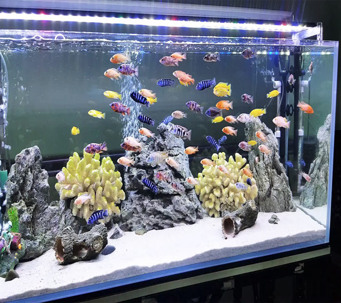 Ba là: chất lượng kính kém - Lý do khiến kính cường lực bị nổ.