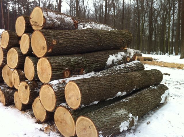 Cách tính mét khối gỗ tròn: Gỗ tròn có hình trụ, tròn hai đầu. Số mét khối gỗ tròn tính như sau: - 1 khối gỗ bằng bao nhiêu mét vuông?