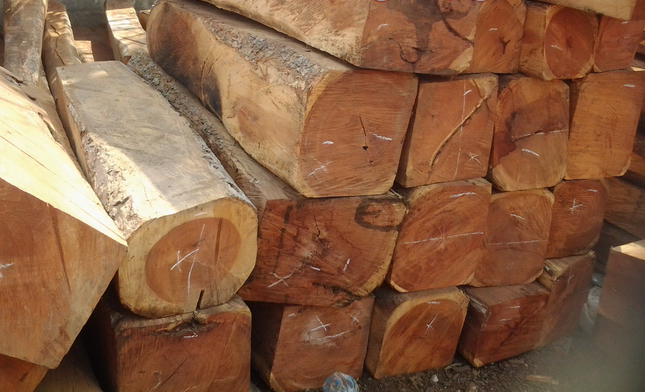 Cách tính mét khối gỗ tròn: Gỗ tròn có hình trụ, tròn hai đầu. Số mét khối gỗ tròn tính như sau: - 1 khối gỗ bằng bao nhiêu mét vuông?