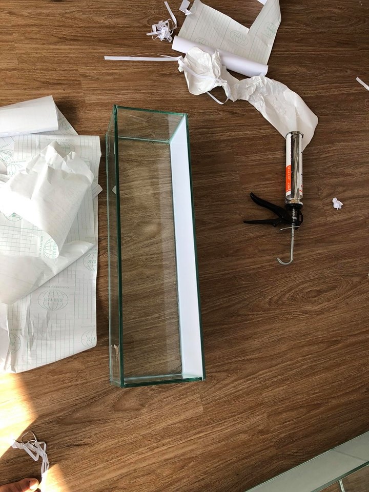 Bước 3: Đi keo silicon - Cách làm bể cá bằng kính chưa bao giờ lại dễ như vậy