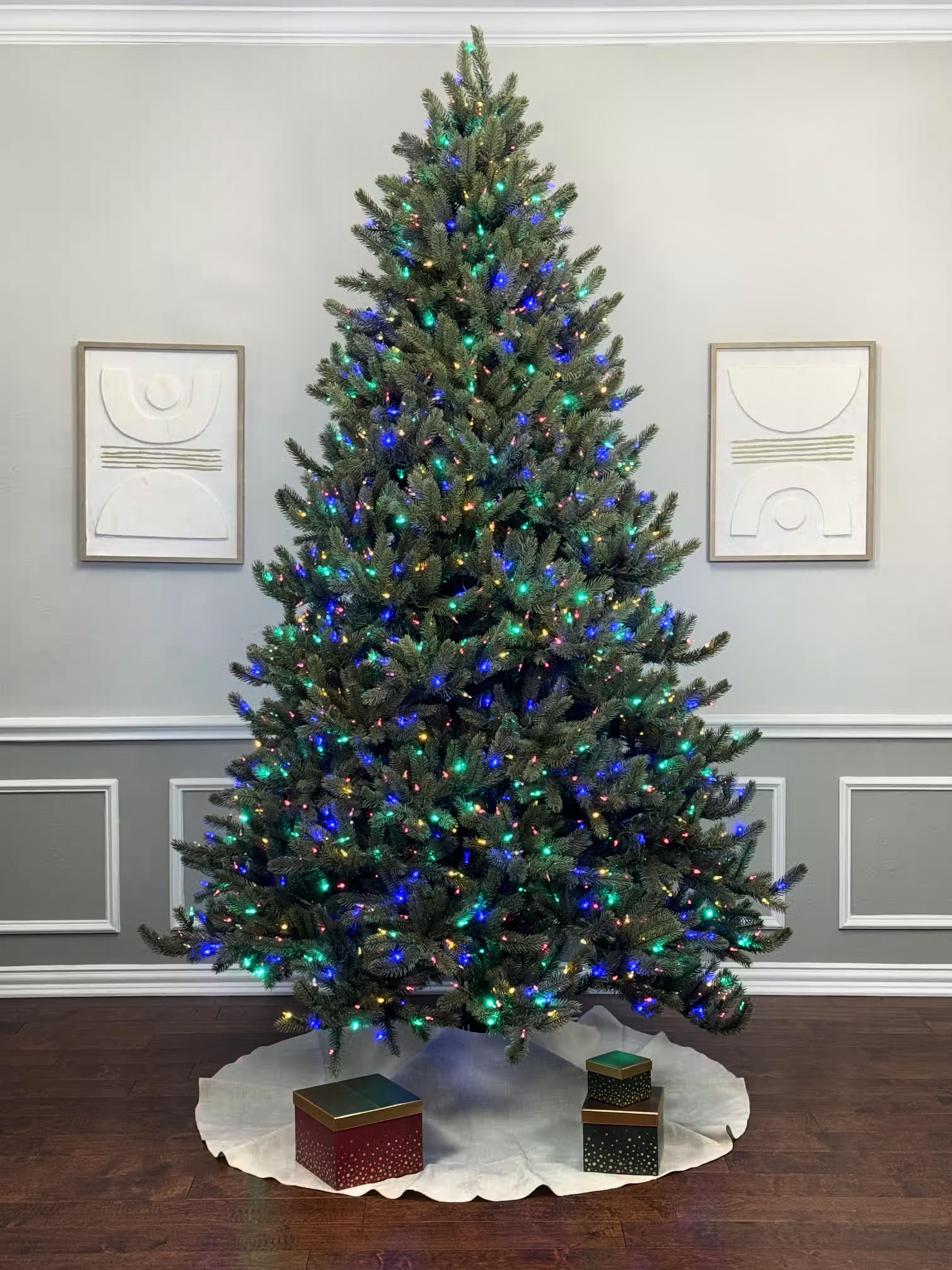 Room lights on with a very dense 8ft tree with color lights. The lights are so vibrant they create a cool blue cast on the wall.