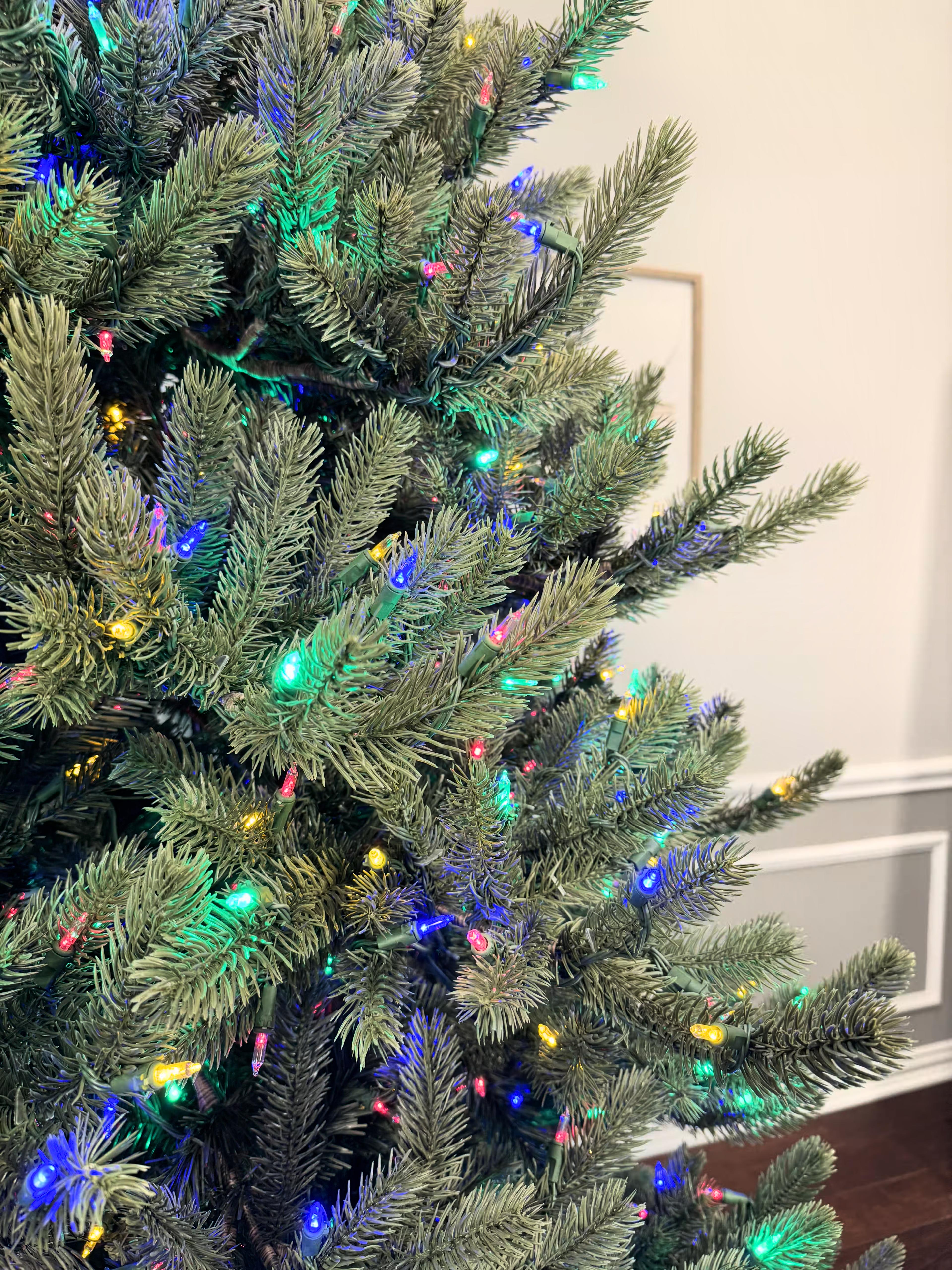 Room lights on with a close up of branch tips with color lights and the wall in the background.