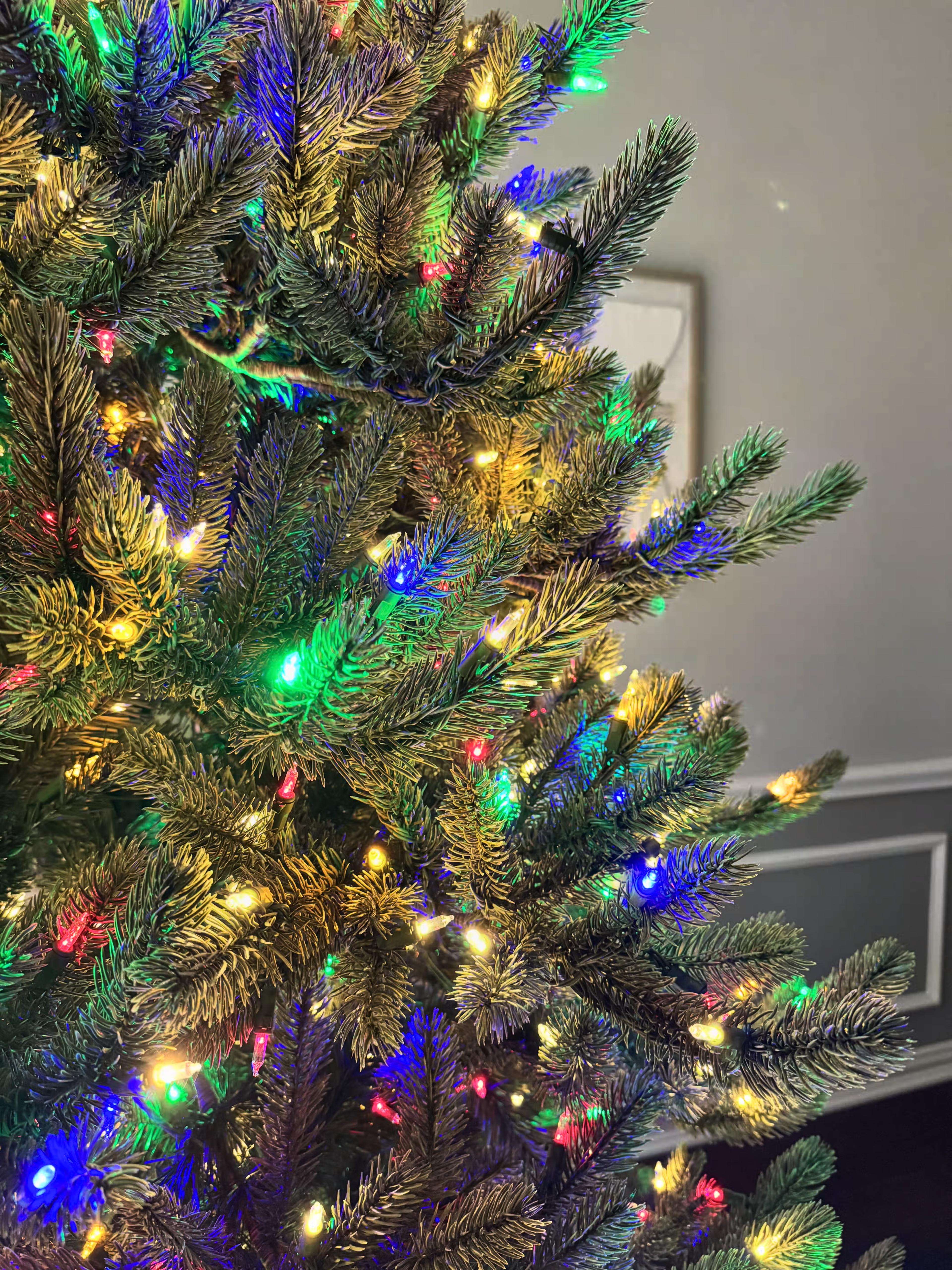 Room lights off with a close up of branch tips with clear+color lights and the wall in the background.