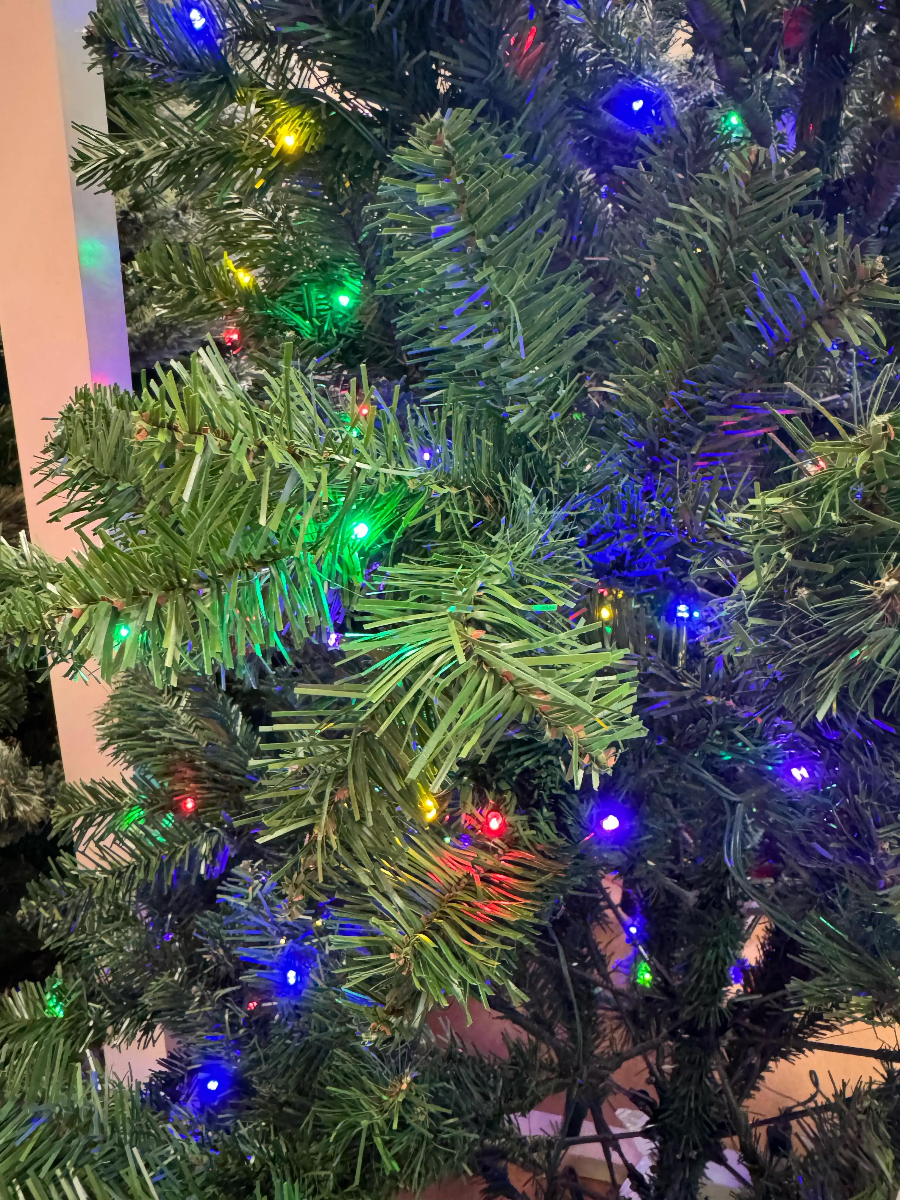Budget PVC spruce tree with sparse branching, visible gaps throughout, traditional plastic tips, multicolor mini bulbs with uneven coverage and dark spots