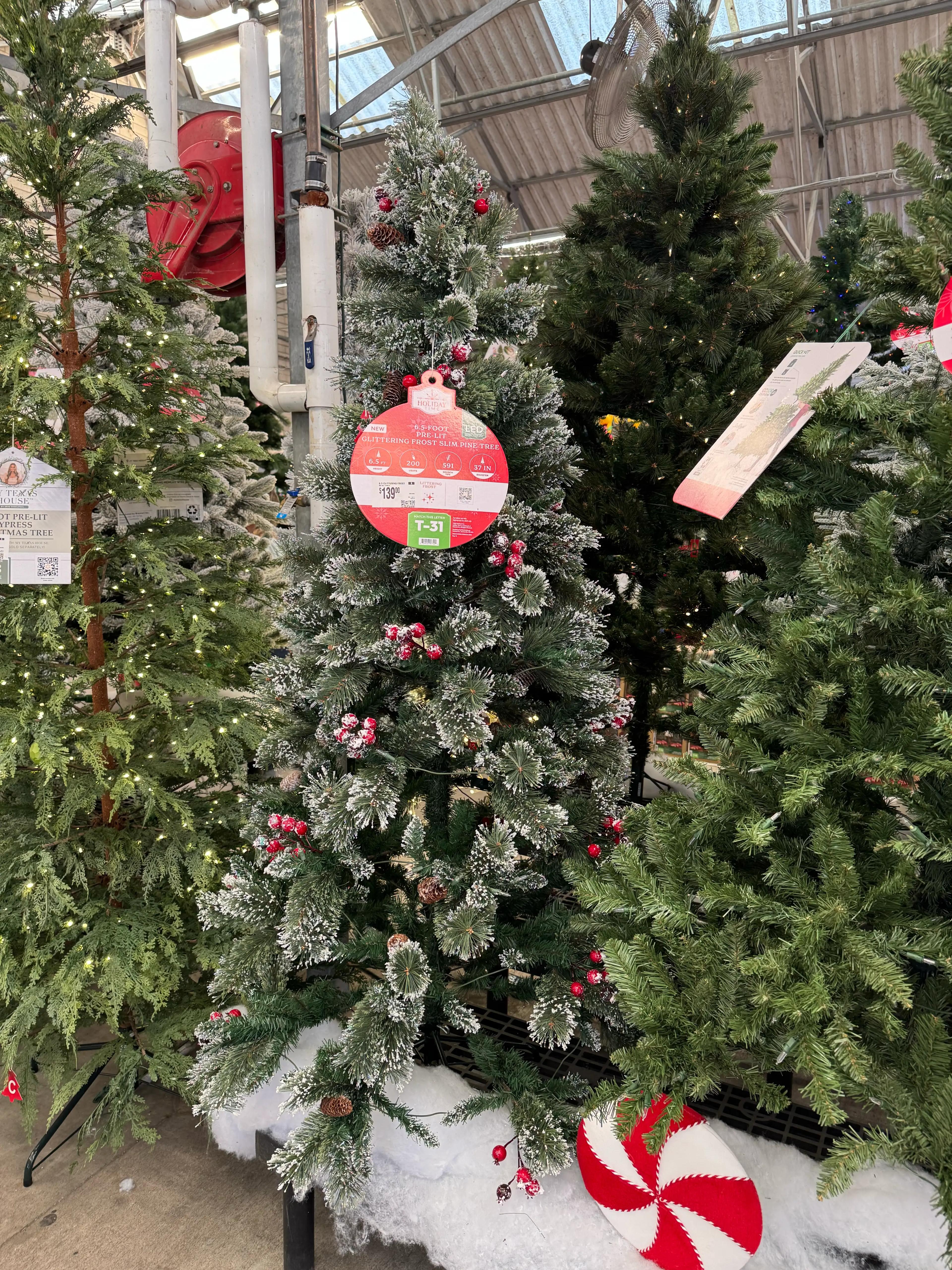 Slim frosted pine with glitter-dusted branches, sparse warm LED lights, decorated with pinecones and red berries