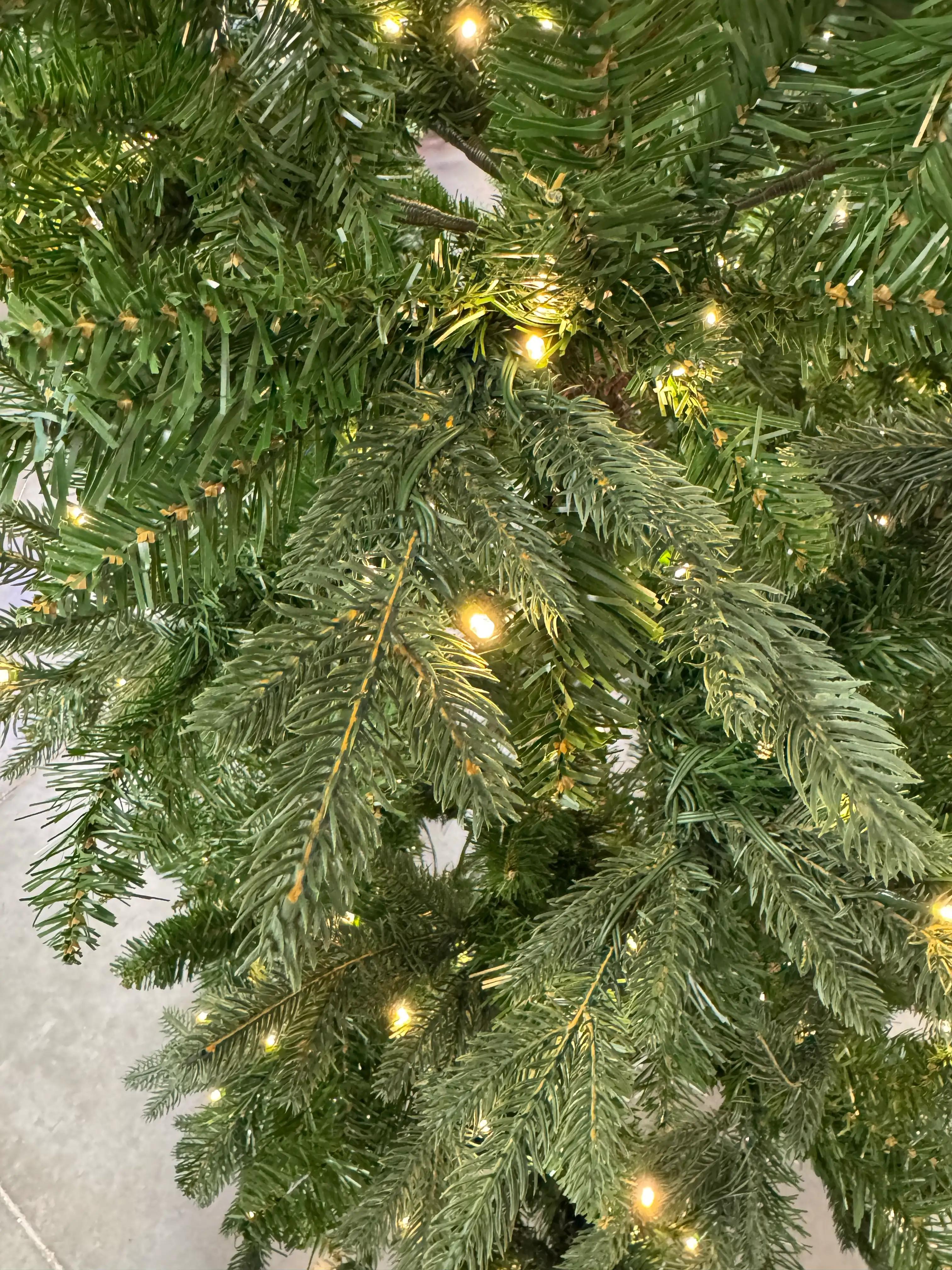 At Home Seattle Spruce - view 4