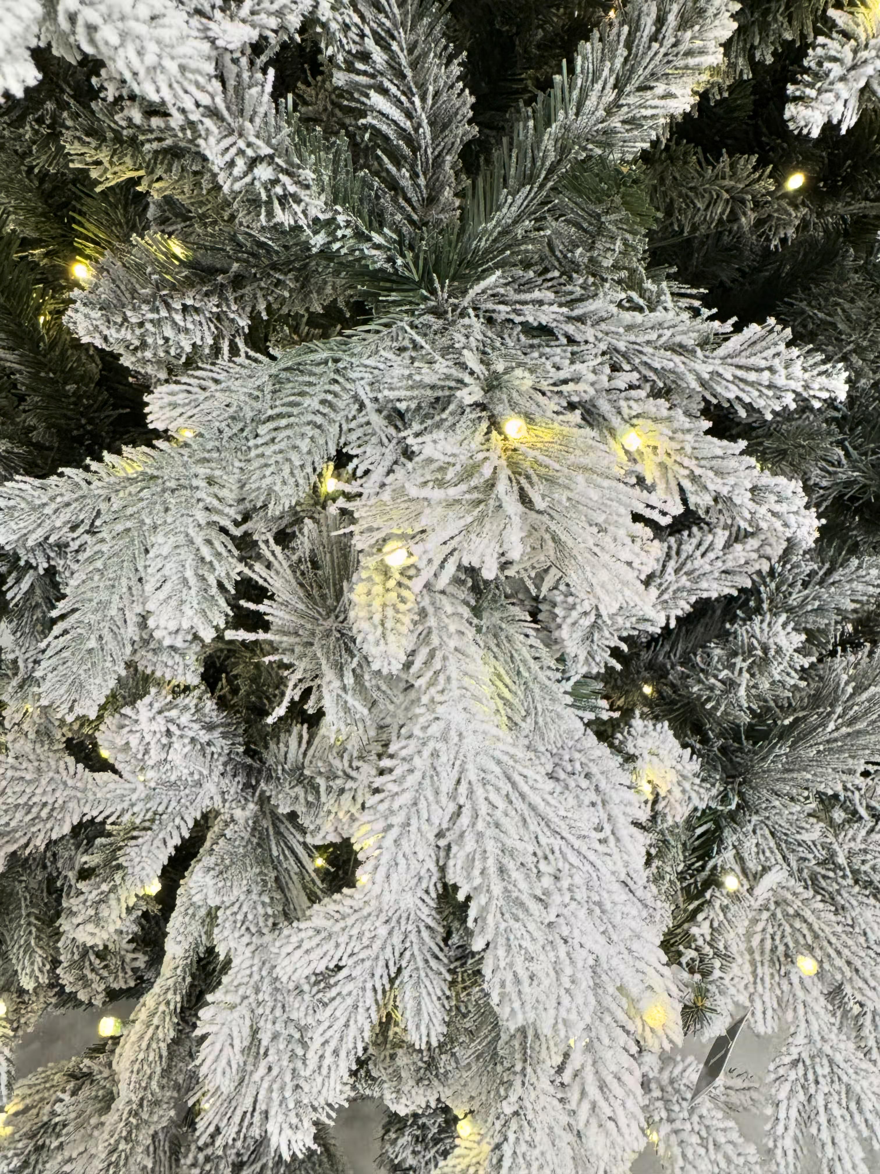 At Home Boulder Pine - view 5