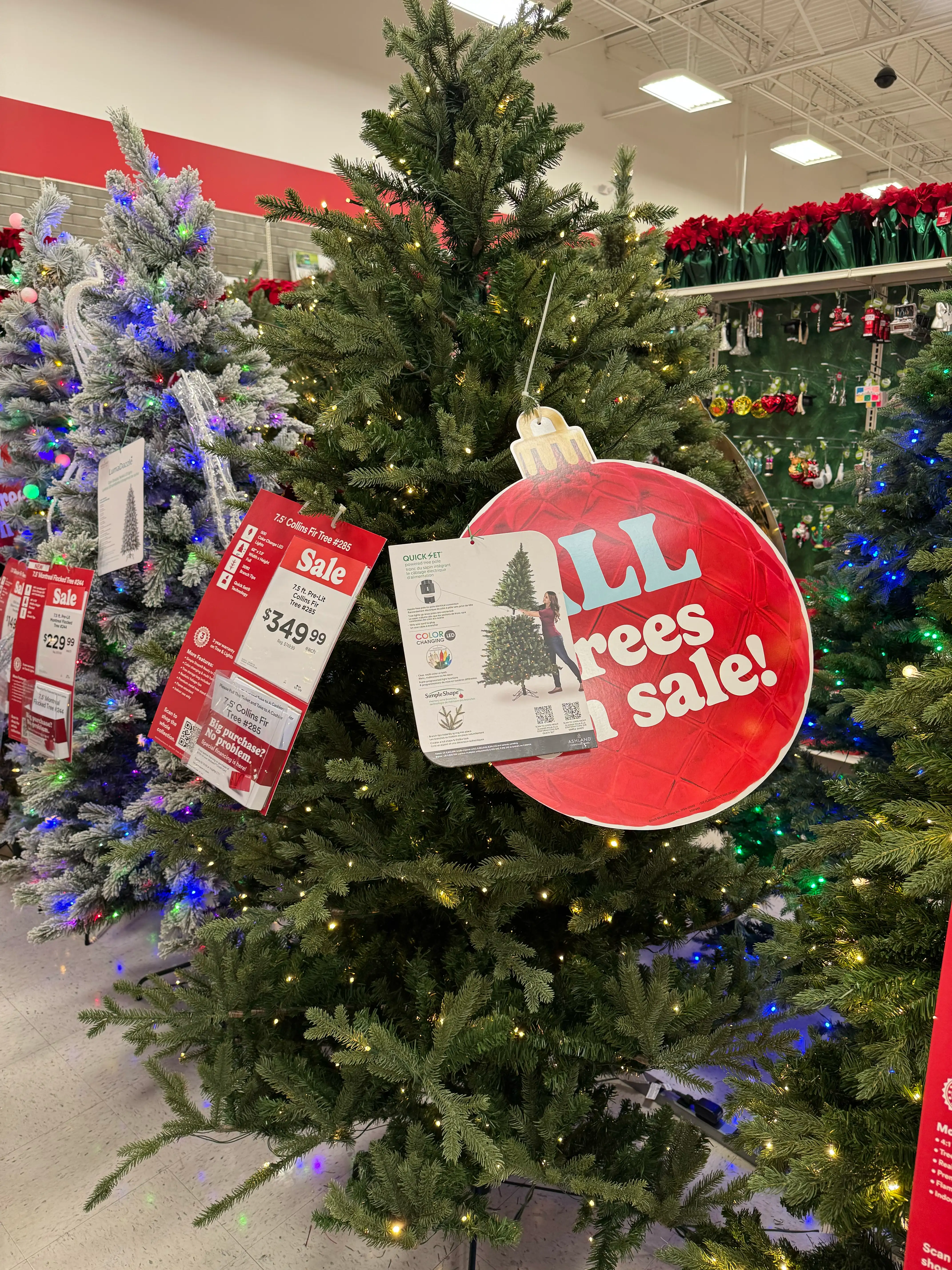 Ashland Collins Fir 7.5 ft — Review (2025) | Christmas Tree Review Hub