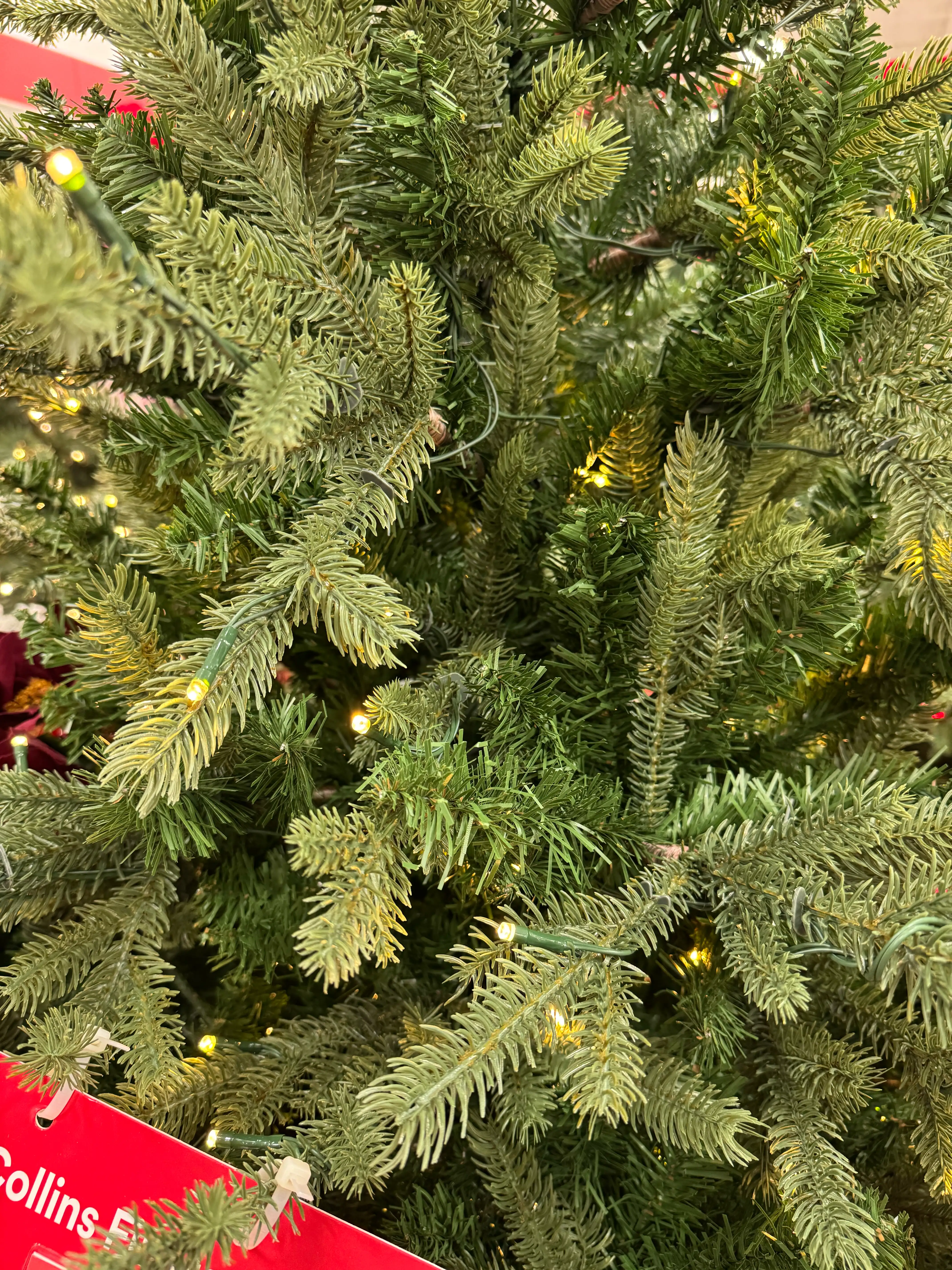 Ashland Collins Fir 7.5 ft — Review (2025) | Christmas Tree Review Hub