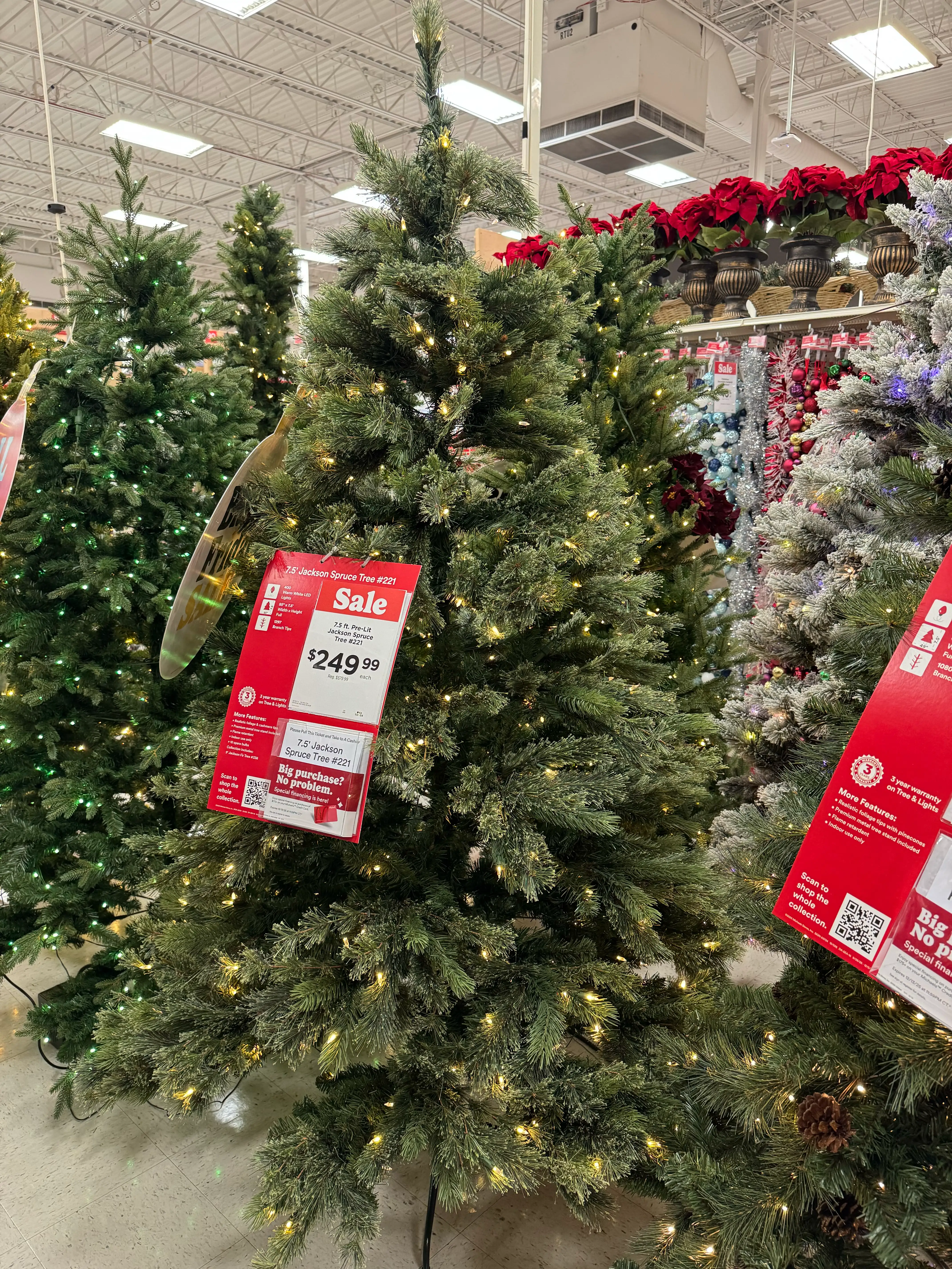 Ashland Jackson Spruce 7.5 ft — Review (2025) | Christmas Tree