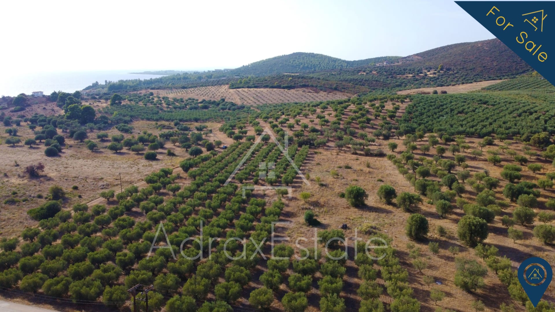 Αγροτεμάχιο 10.500τ.μ. στην Μεταμόρφωση Χαλκιδικής - Image 5