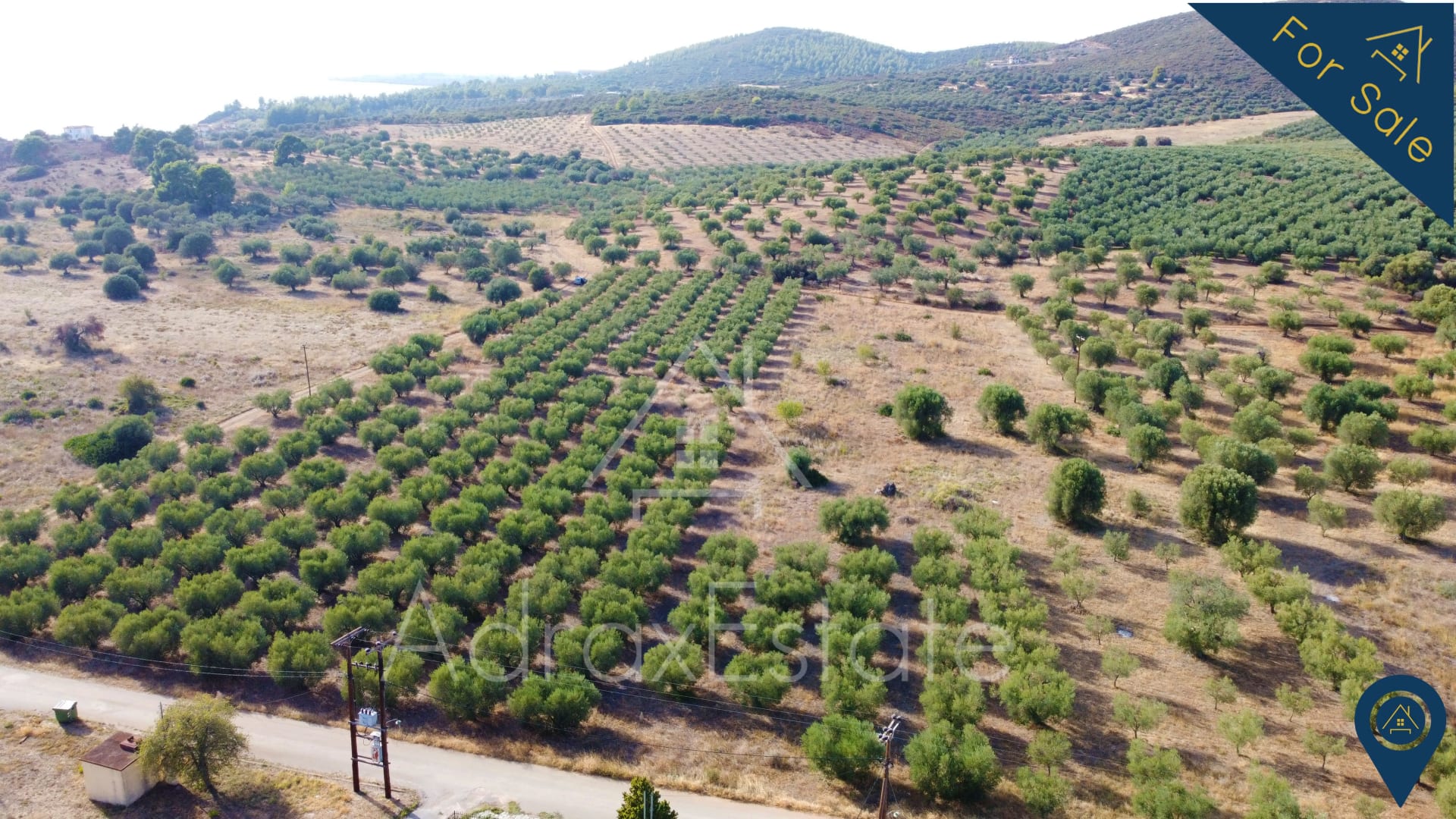 Αγροτεμάχιο 10.500τ.μ. στην Μεταμόρφωση Χαλκιδικής - Image 6