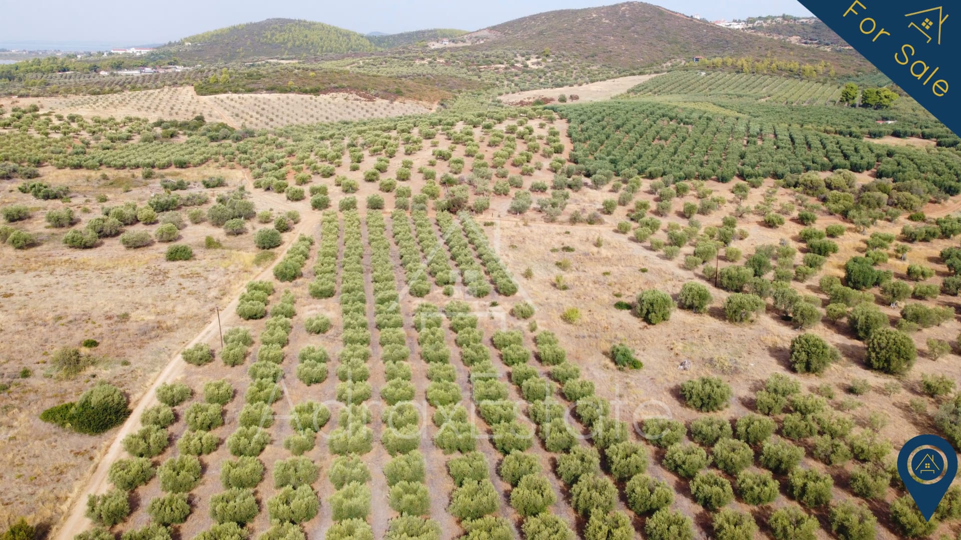 Αγροτεμάχιο 10.500τ.μ. στην Μεταμόρφωση Χαλκιδικής - Image 16