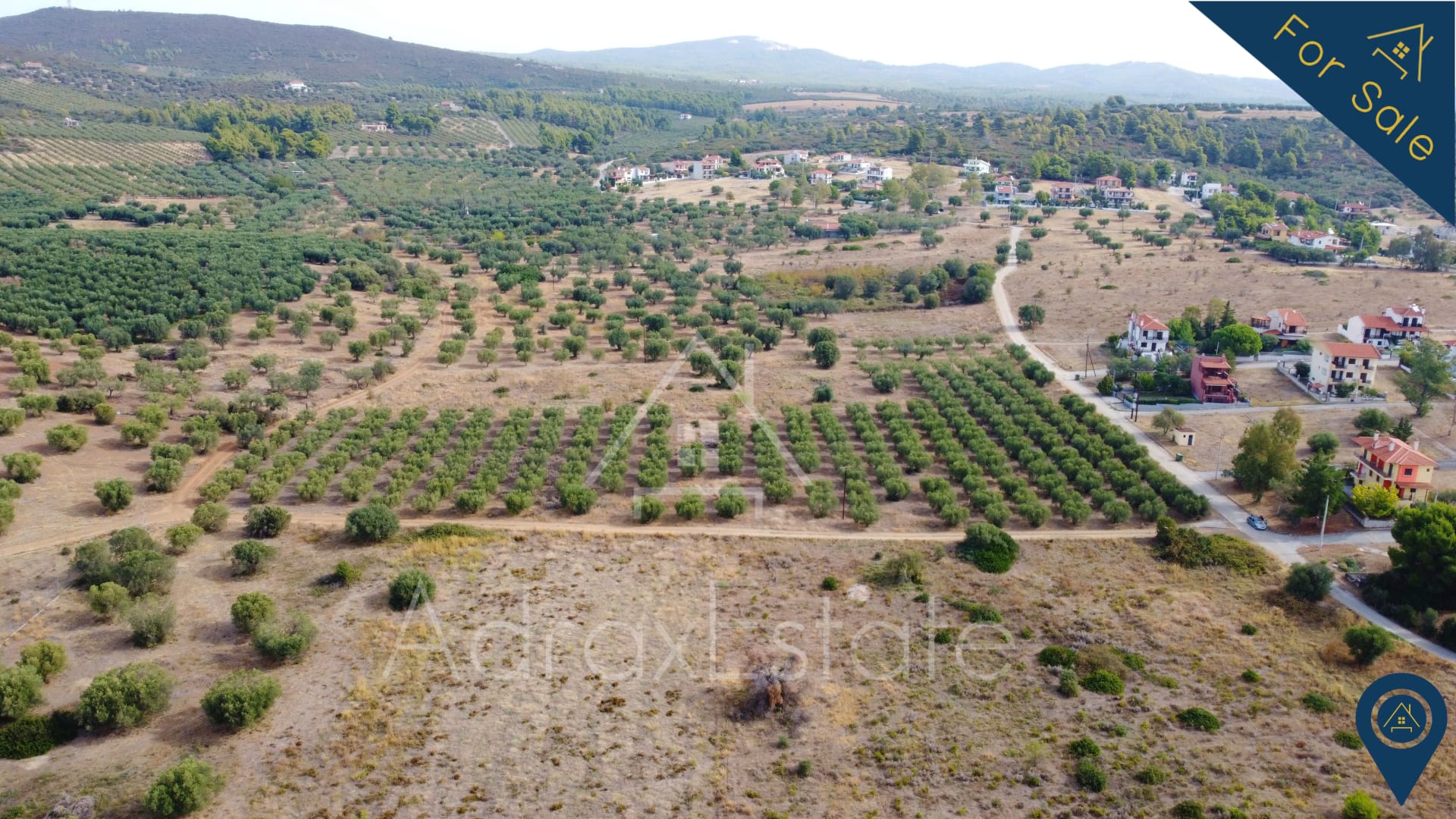 Αγροτεμάχιο 10.500τ.μ. στην Μεταμόρφωση Χαλκιδικής - Image 19