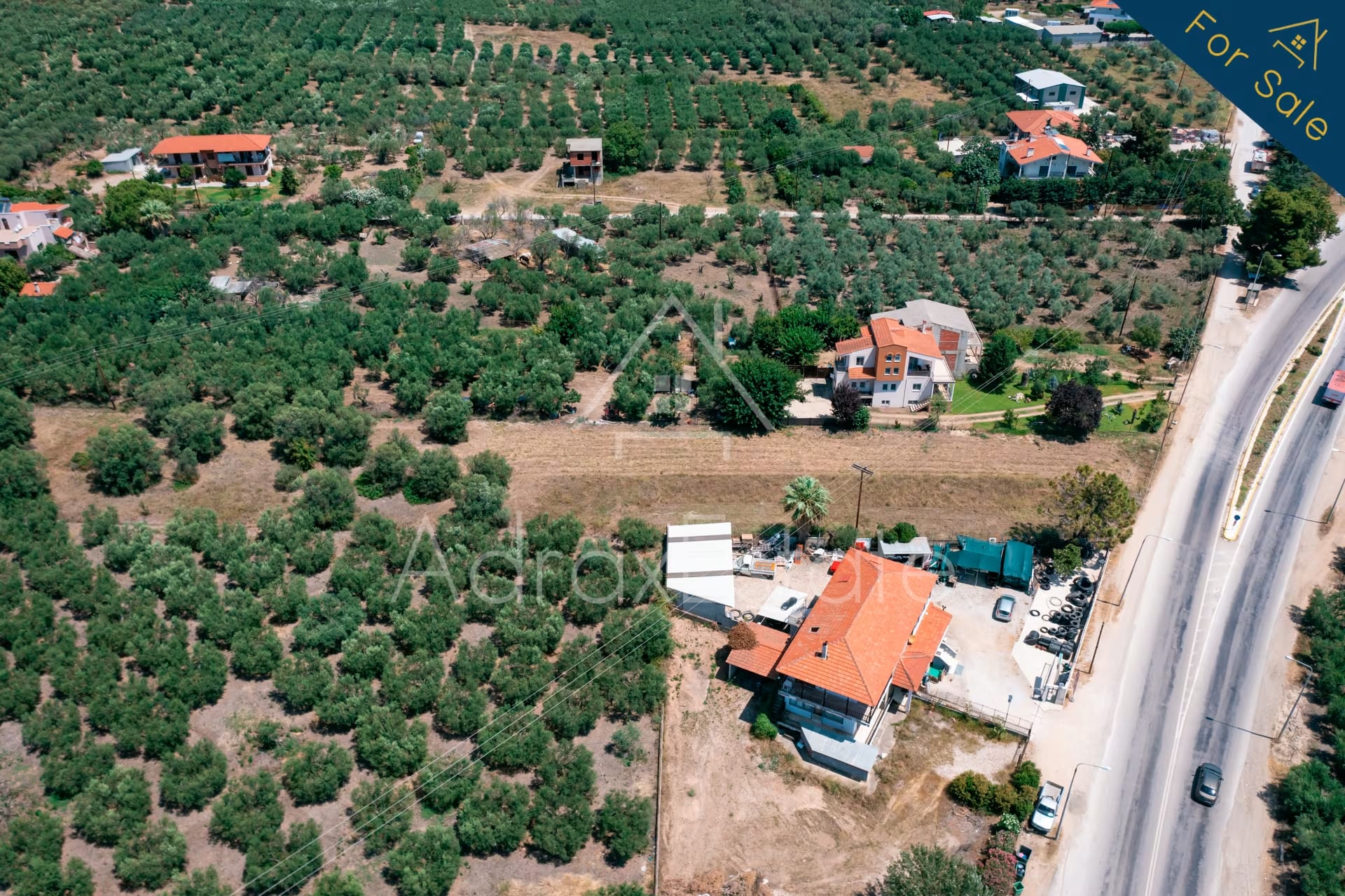 Αγροτεμάχιο 3.285τ.μ στα Ψακούδια Ορμύλια Χαλκιδικής - Image 4
