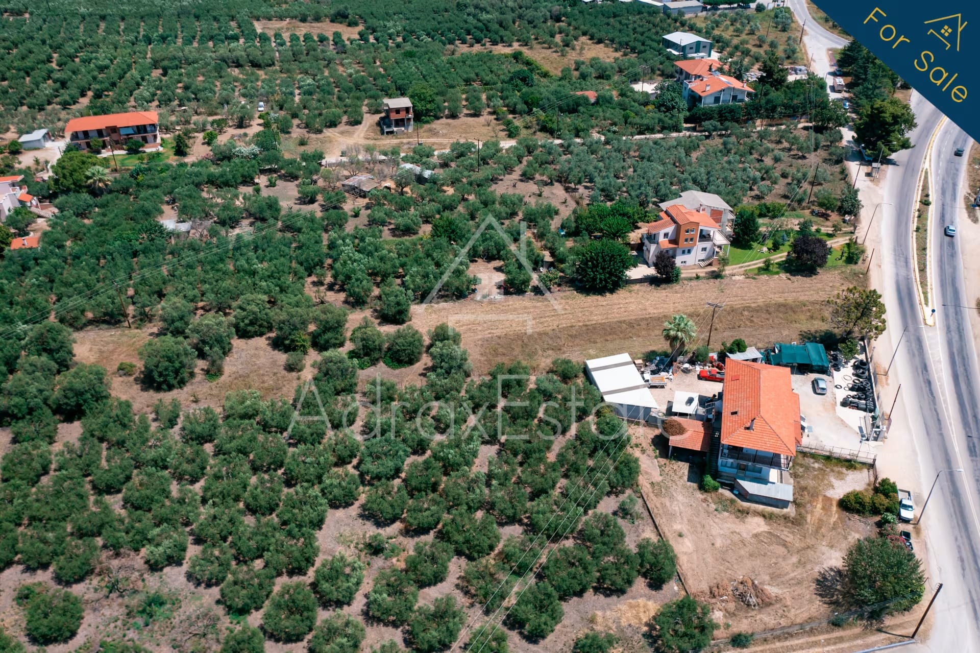 Αγροτεμάχιο 3.285τ.μ στα Ψακούδια Ορμύλια Χαλκιδικής - Image 5