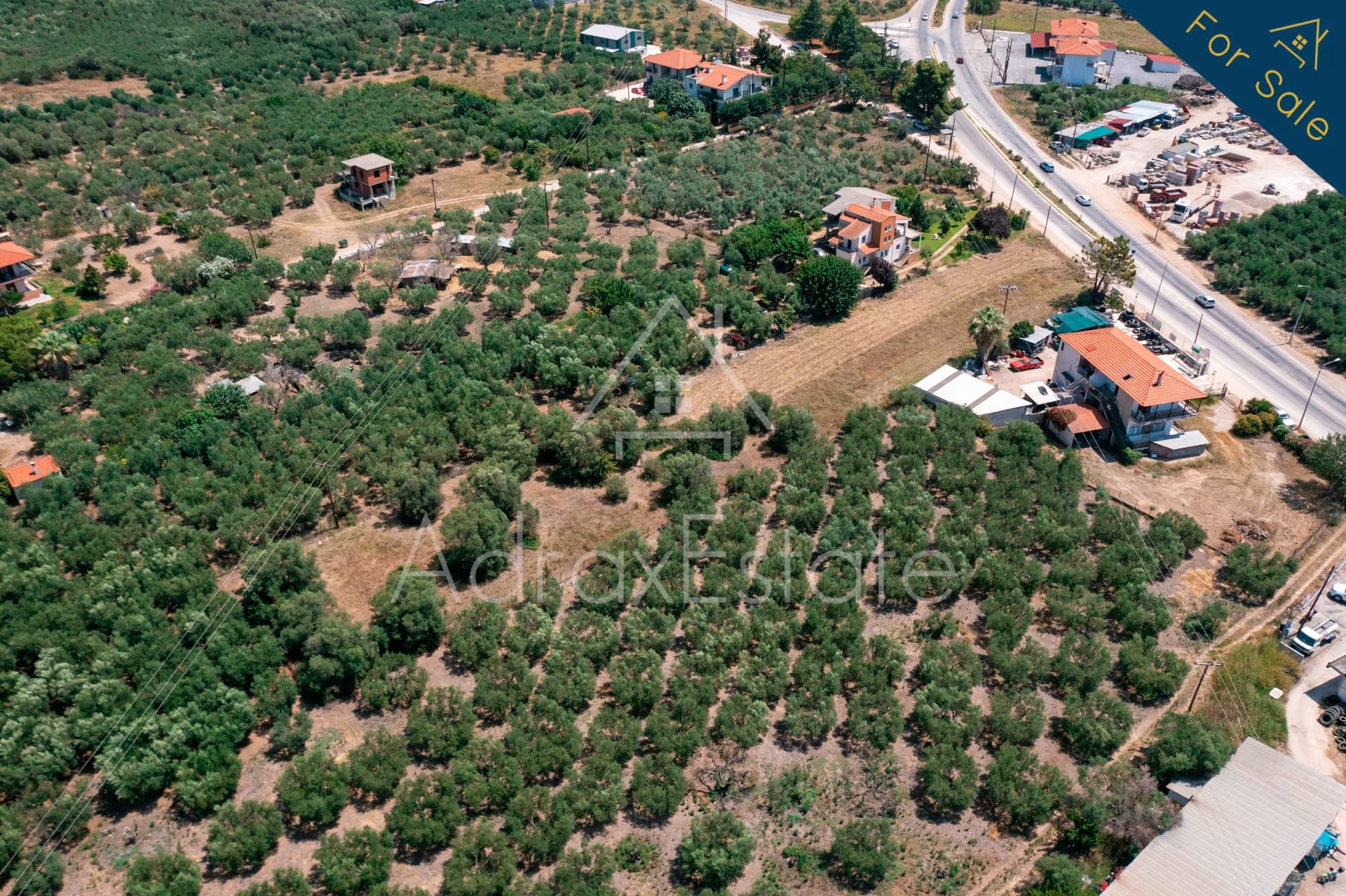 Αγροτεμάχιο 3.285τ.μ στα Ψακούδια Ορμύλια Χαλκιδικής - Image 6