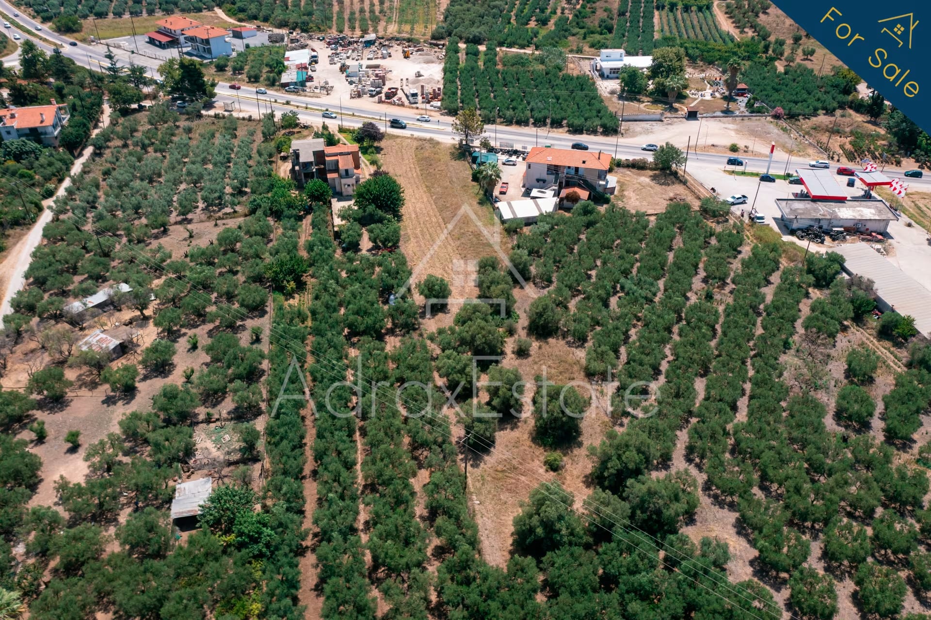 Αγροτεμάχιο 3.285τ.μ στα Ψακούδια Ορμύλια Χαλκιδικής - Image 9