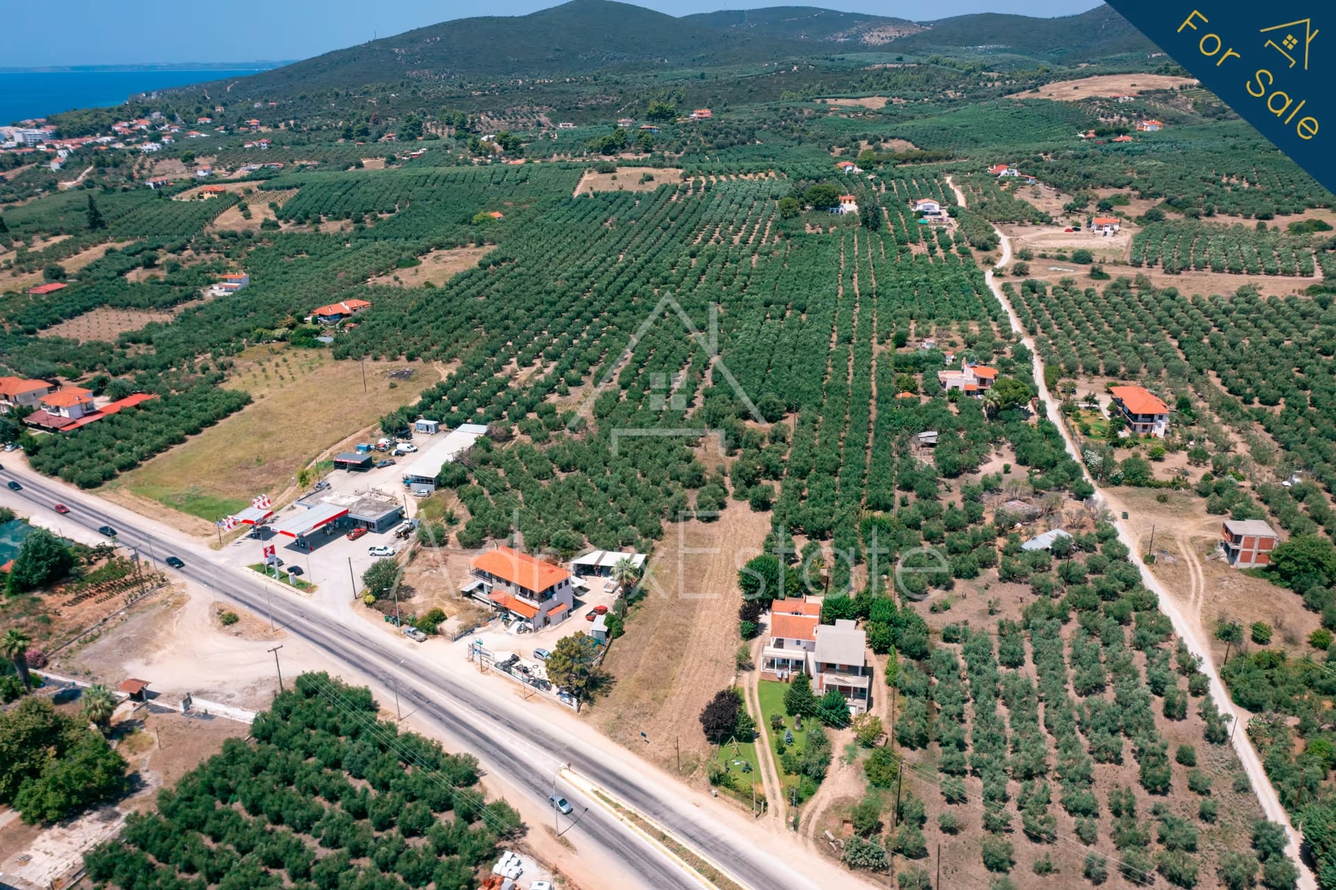 Αγροτεμάχιο 3.285τ.μ στα Ψακούδια Ορμύλια Χαλκιδικής - Image 18