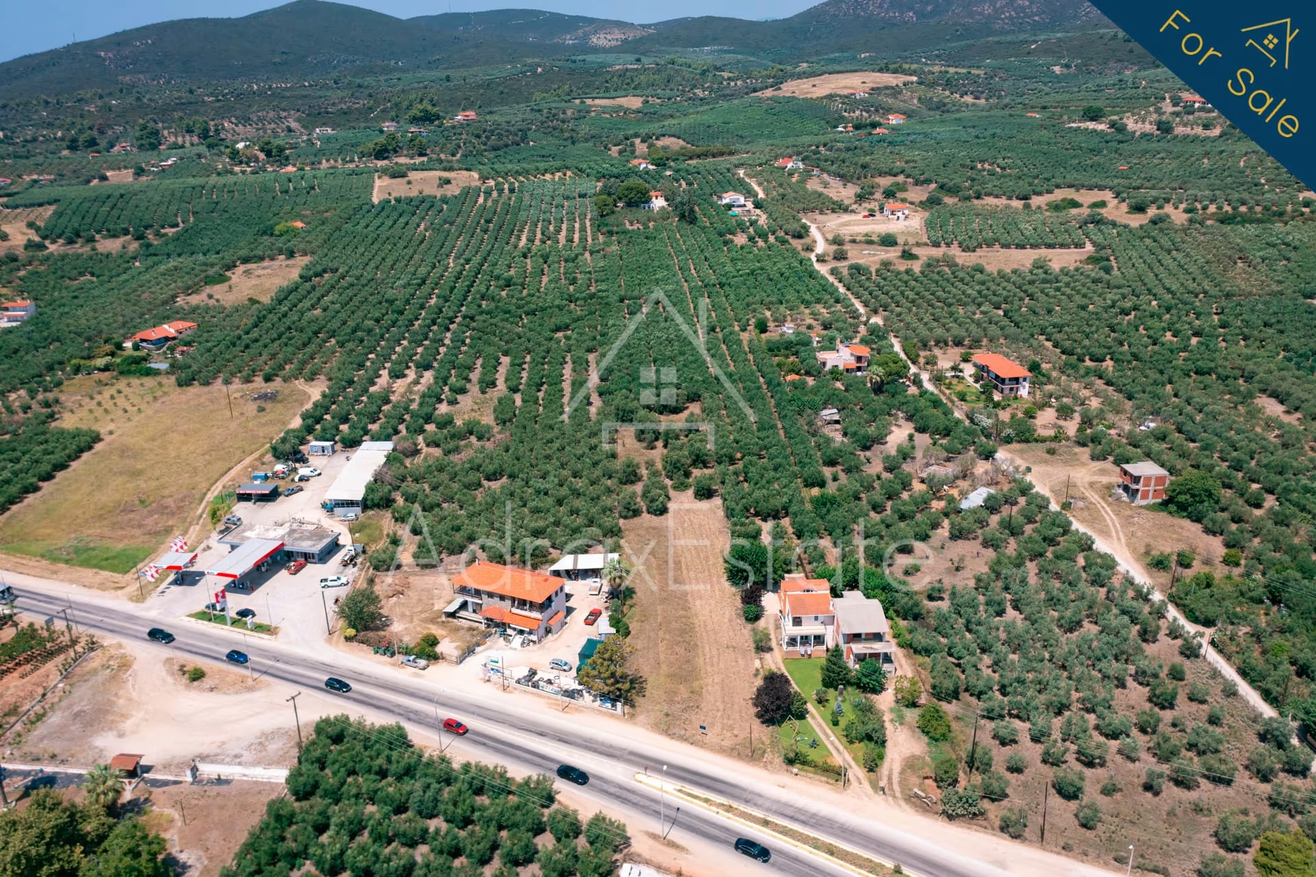 Αγροτεμάχιο 3.285τ.μ στα Ψακούδια Ορμύλια Χαλκιδικής - Image 19