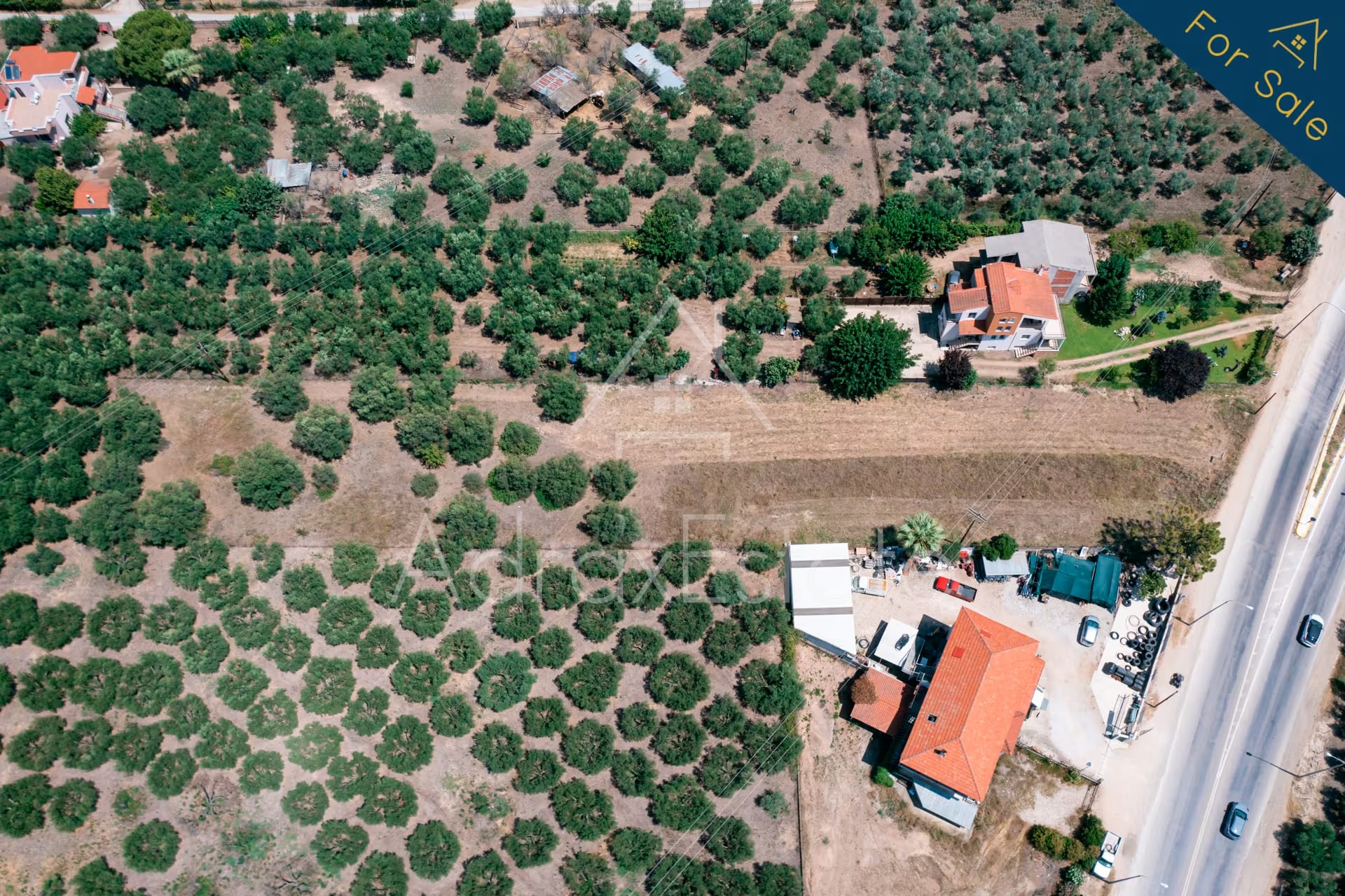 Αγροτεμάχιο 3.285τ.μ στα Ψακούδια Ορμύλια Χαλκιδικής - Image 28