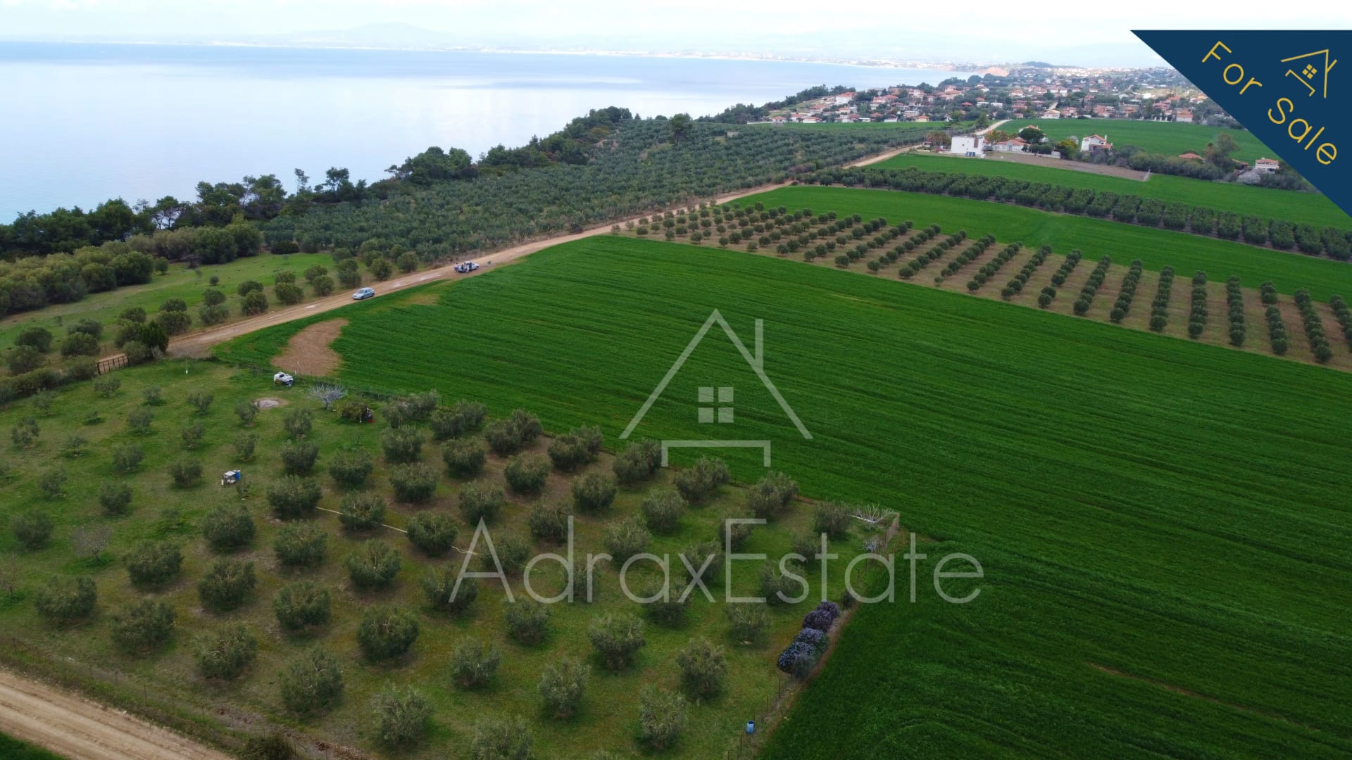 Αγροτεμάχιο 10.300τ.μ. στην Νέα Ποτίδαια Χαλκιδικής - Image 9