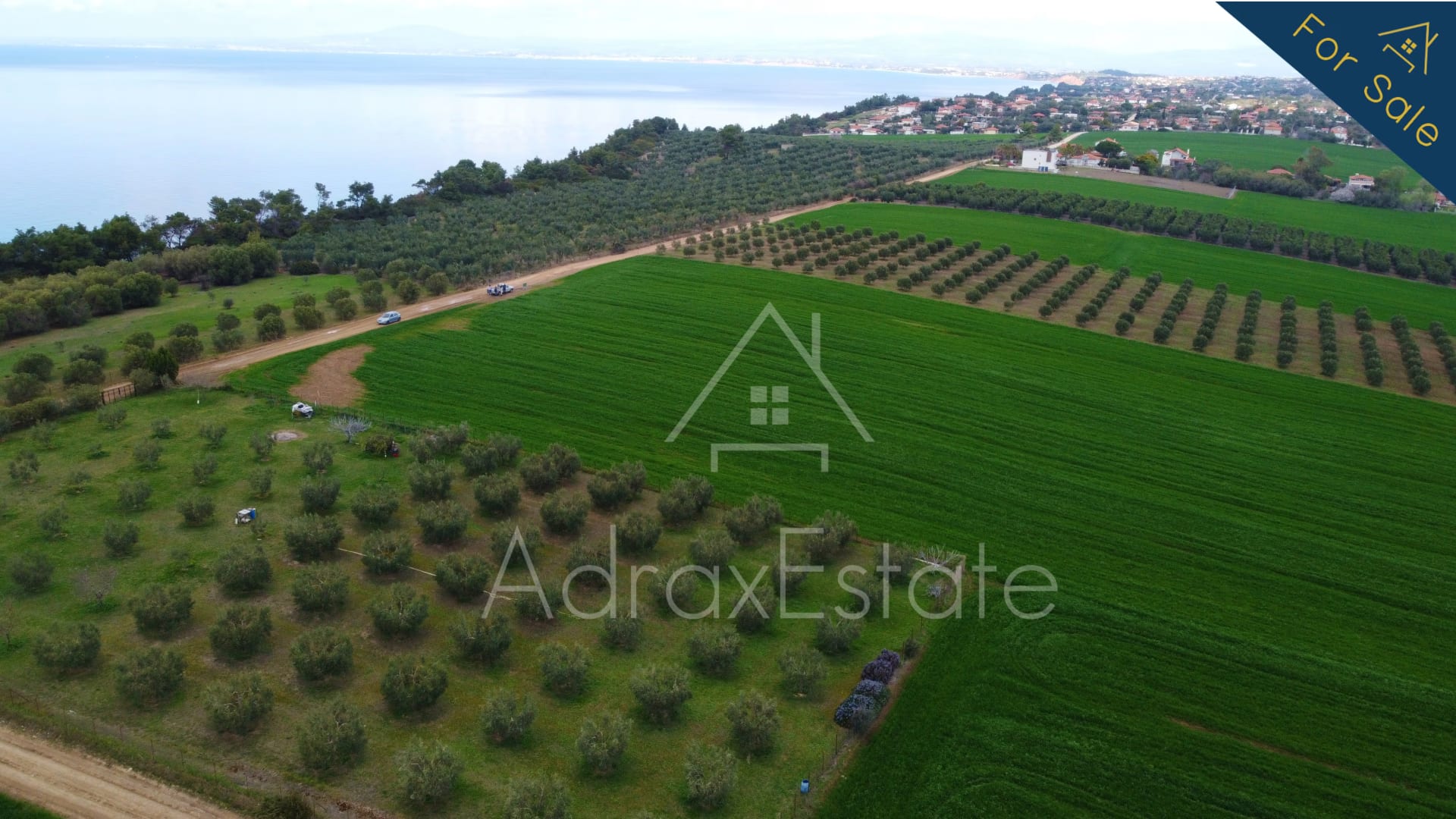 Αγροτεμάχιο 10.300τ.μ. στην Νέα Ποτίδαια Χαλκιδικής - Image 10