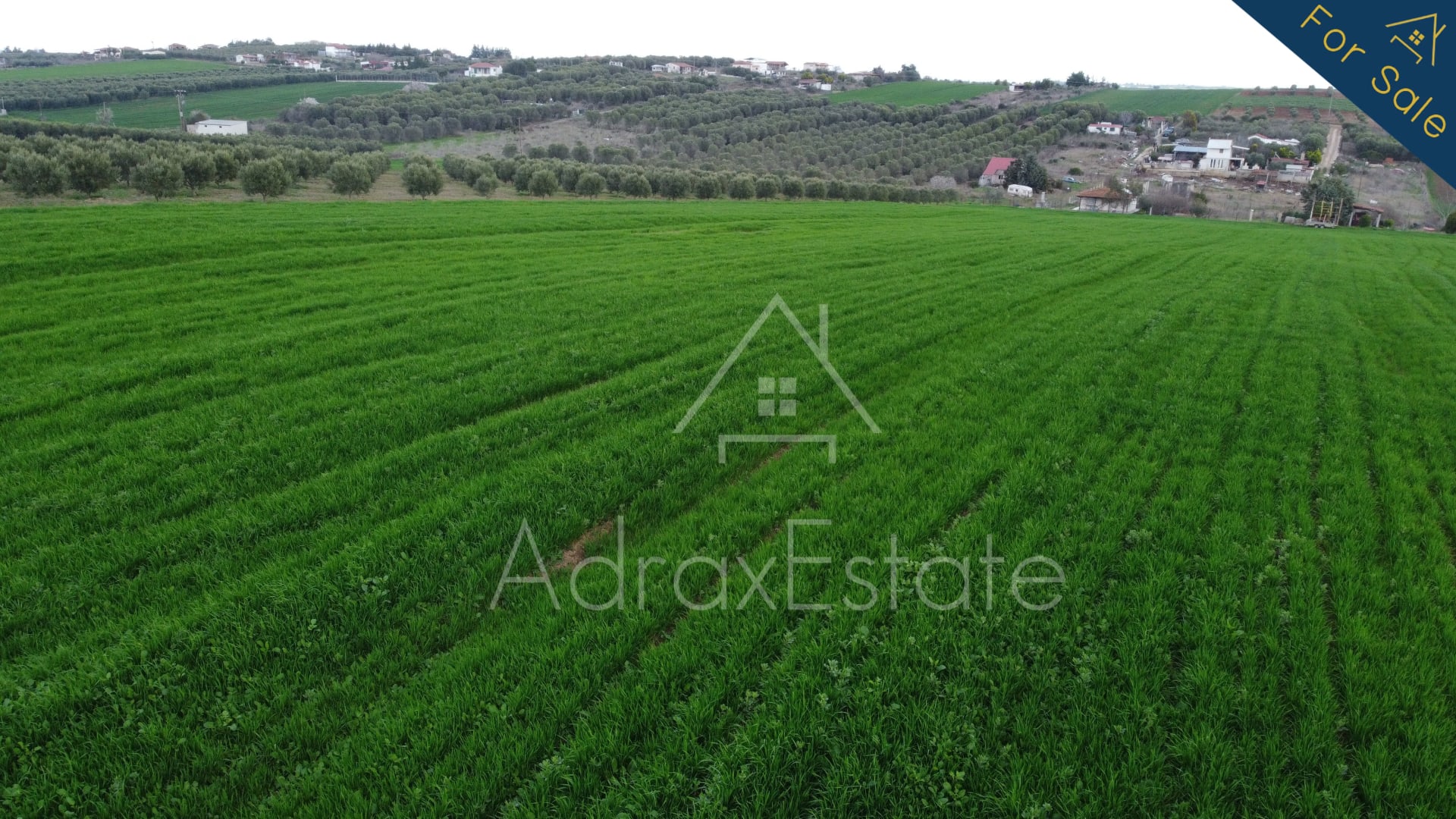 Αγροτεμάχιο 10.300τ.μ. στην Νέα Ποτίδαια Χαλκιδικής - Image 18