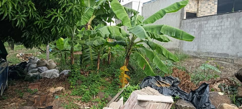 🏡 Lote en Conjunto Campestre Colinas de Corozal – Los Patios, Norte de Santander