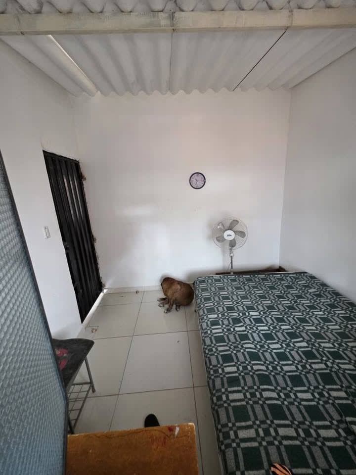 Casa en Venta en Videlso, Los Patios - 3 Habitaciones y 72 m² de Lote - Foto 5