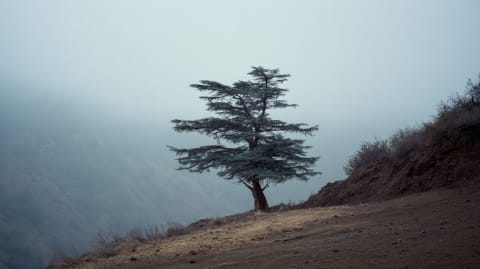 5-Day The Rif Mountains