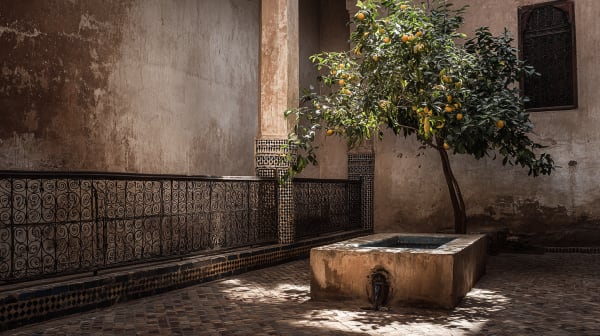 Marrakech City Break