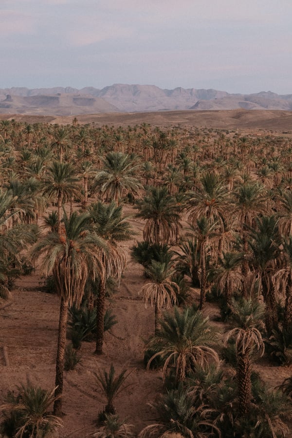 Draa to Atlantic