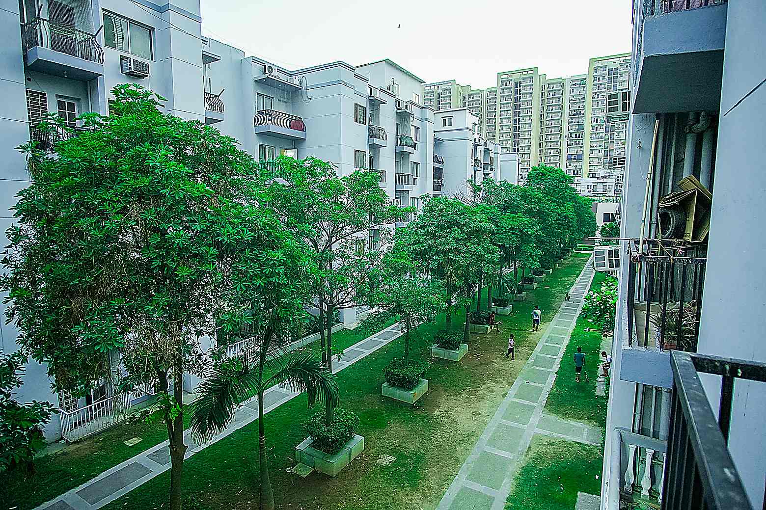 Property view 11