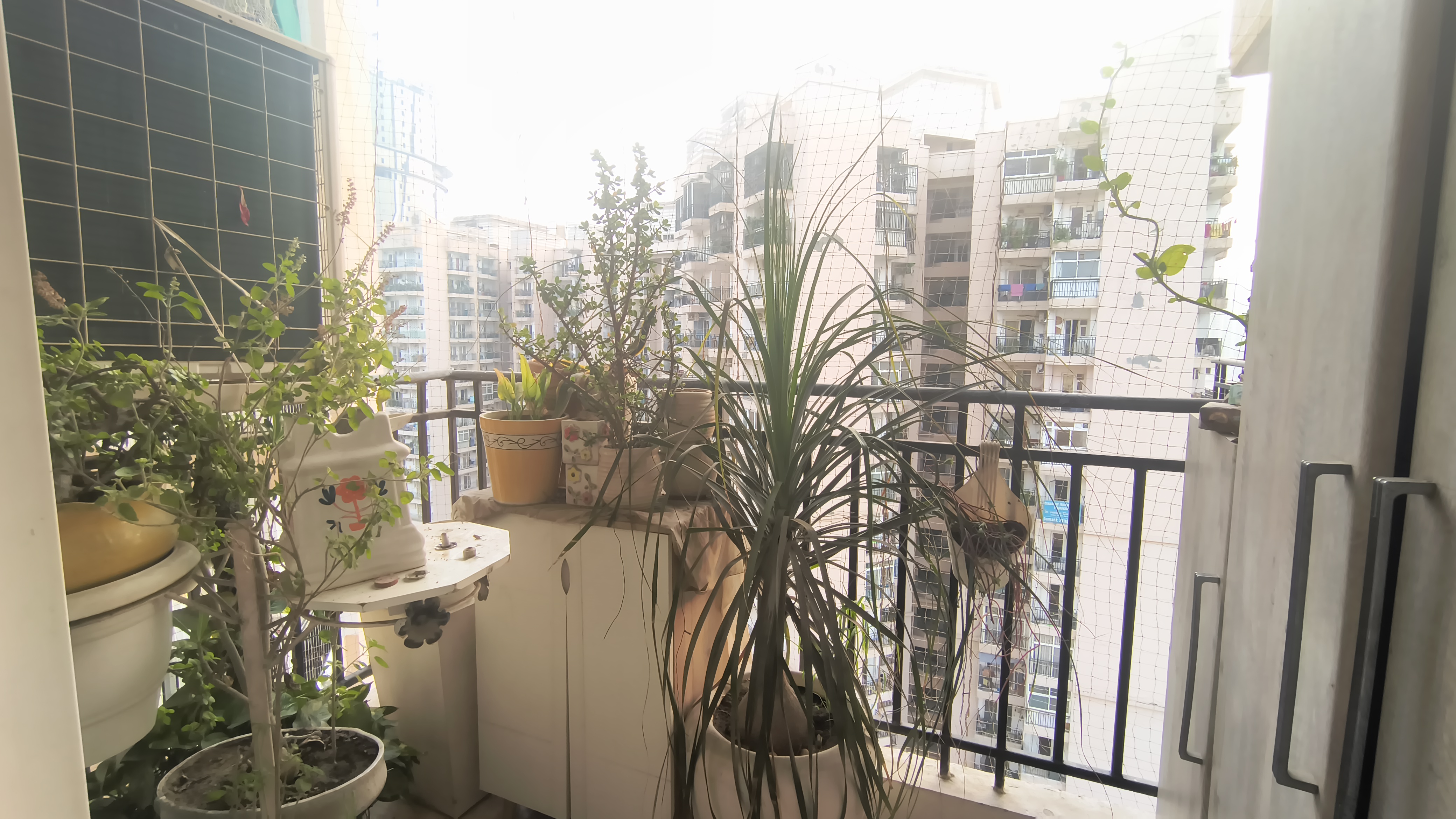 Property view 10