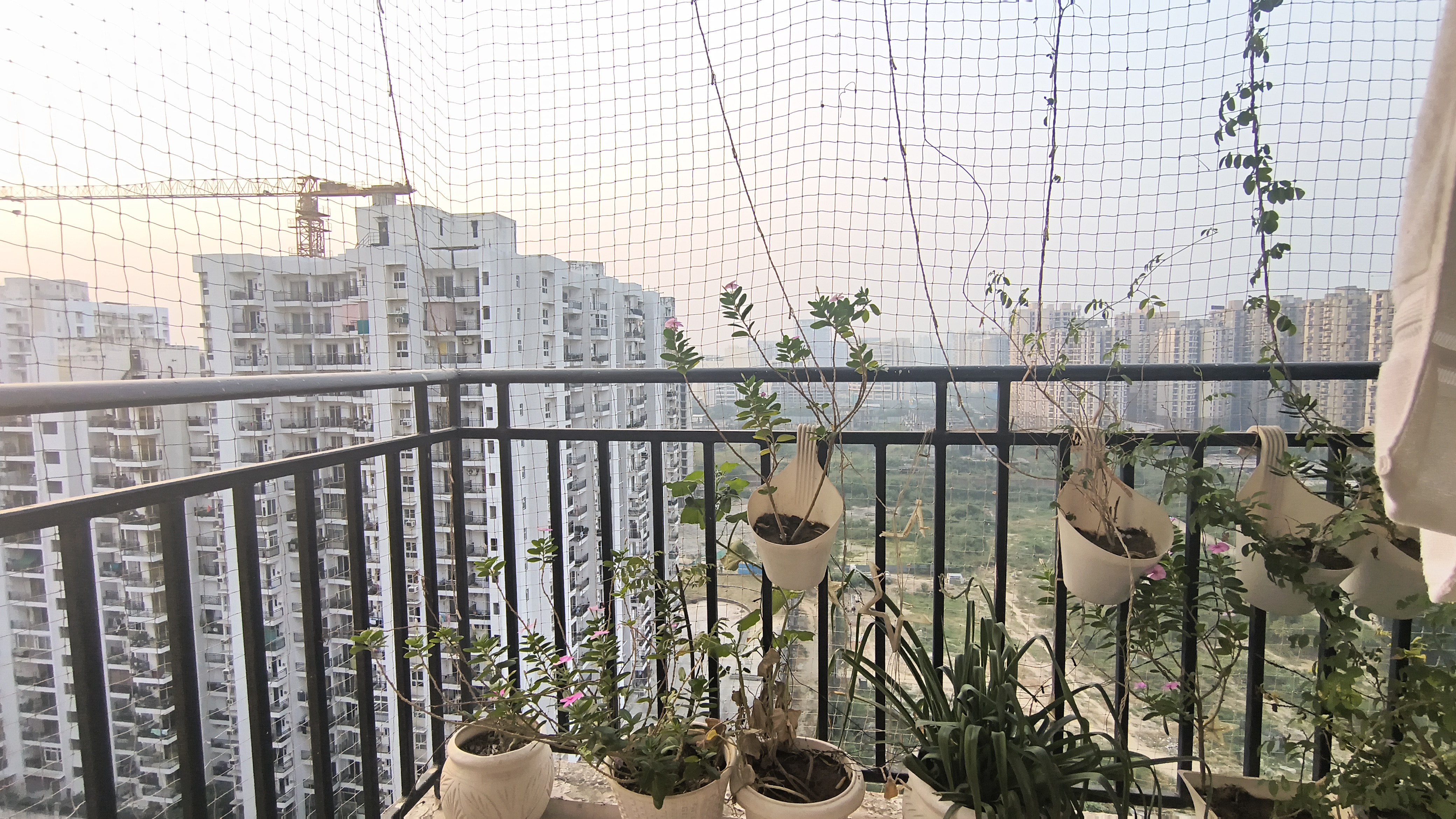 Property view 11