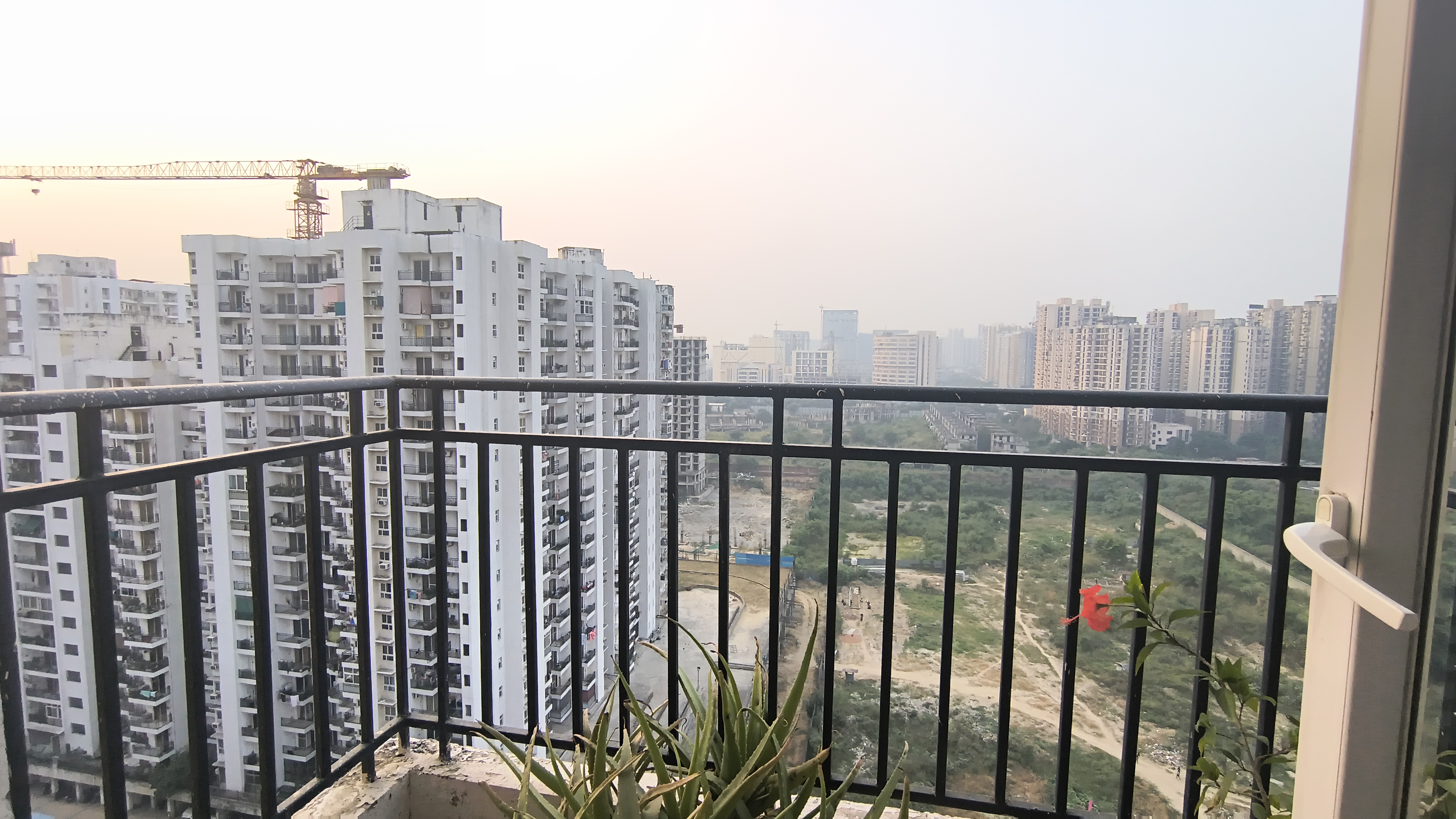 Property view 12