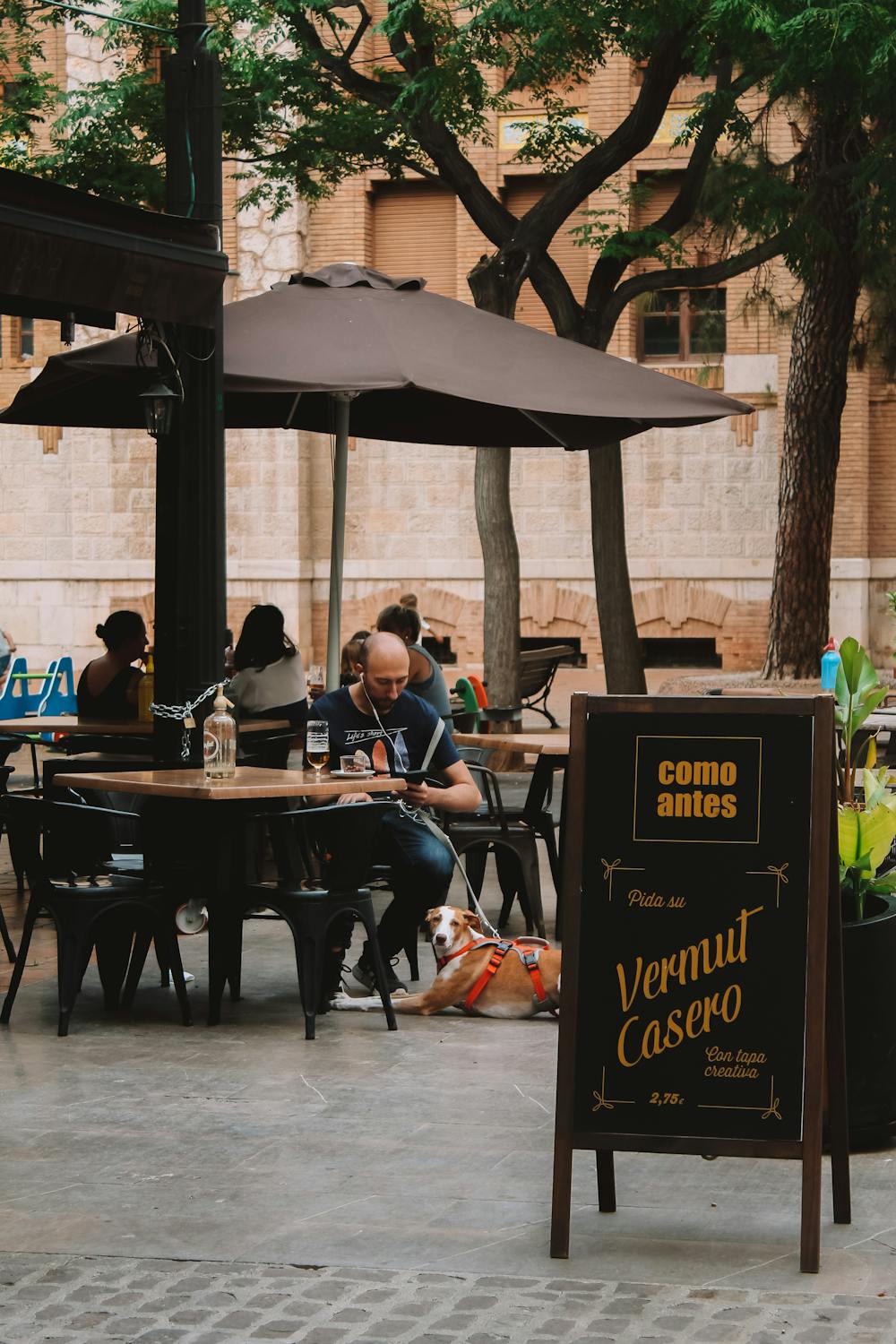 man with dog restaurant patio