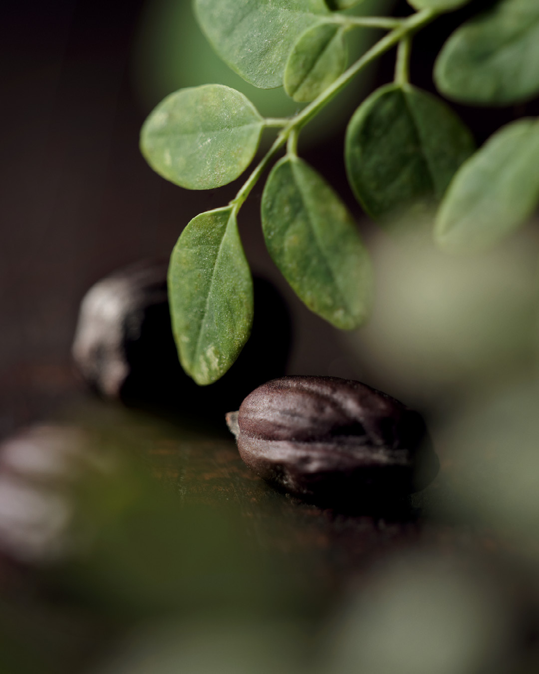 Certified organic moringa leaves and seeds, the star ingredient in One For All