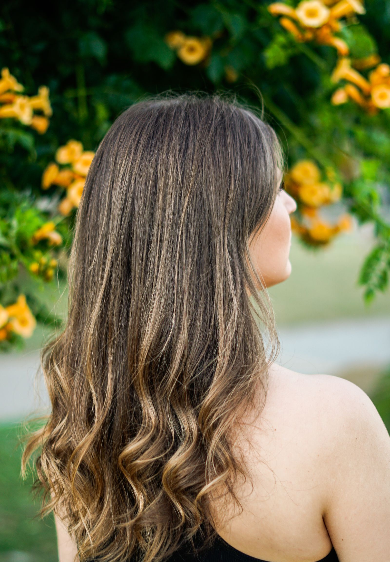 Back view of long hair with soft painted balayage brightening through the mid lengths and ends