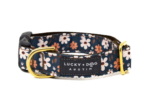 Autumn Meadow snap collar, cream daisies on navy