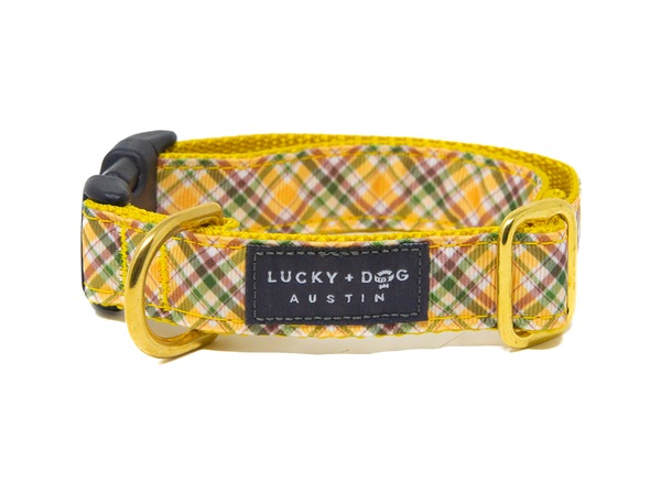 Cozy Cabin snap collar in golden yellow plaid