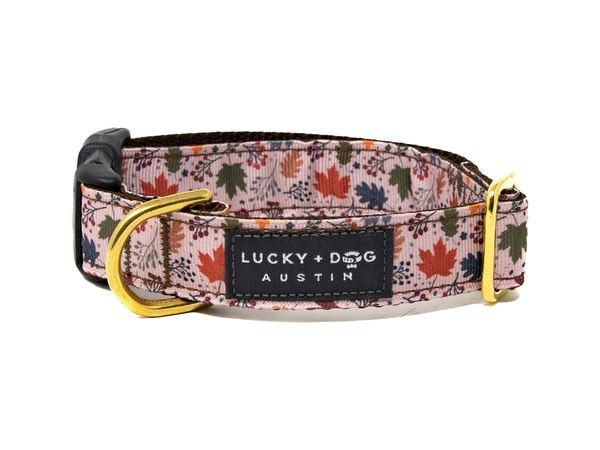 Falling for Autumn snap collar, maple leaves on blush