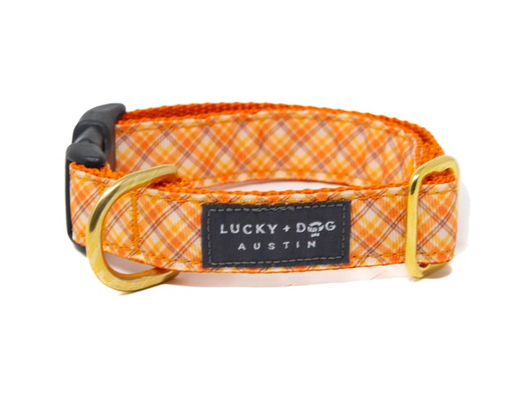 Golden Harvest snap collar in bright orange check