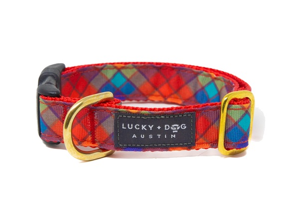 Harvest Check snap collar in multicolour madras plaid