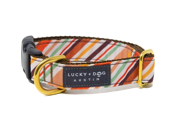 Oak Pup snap collar in diagonal rust and sage stripes