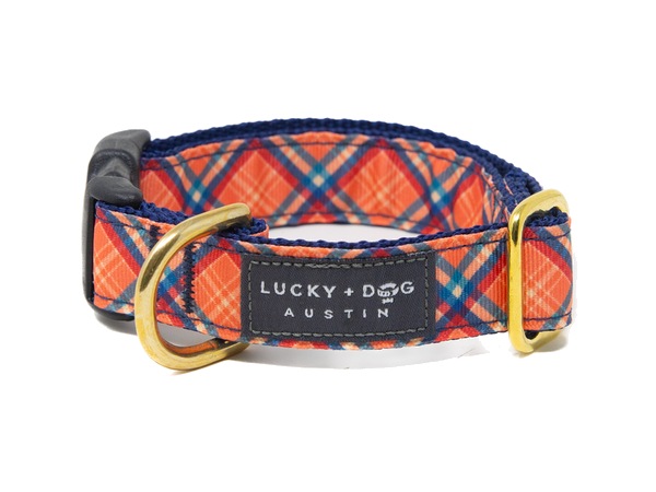 Pumpkin Spice snap collar in orange and navy plaid