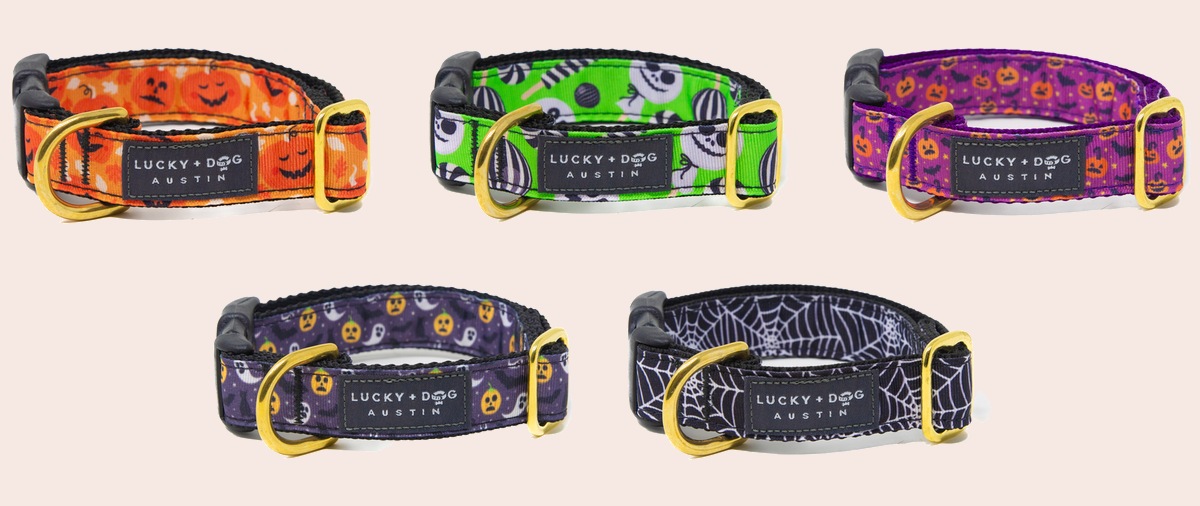 Pumpkin Pup, Ghost Pup, Purple Potion, Happy Haunting and Black Spider Web snap collars